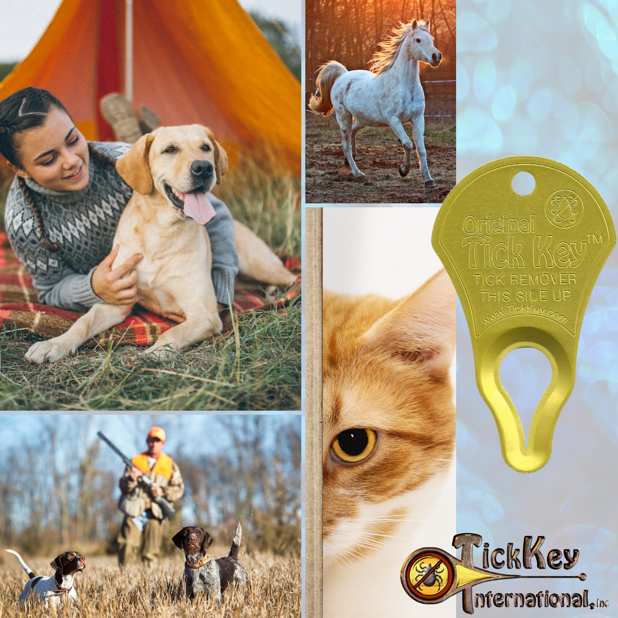 The Original Tick Key - Tick Detaching Device - Portable, Safe And Highly Effective Tick Detaching Tool (Yellow)
