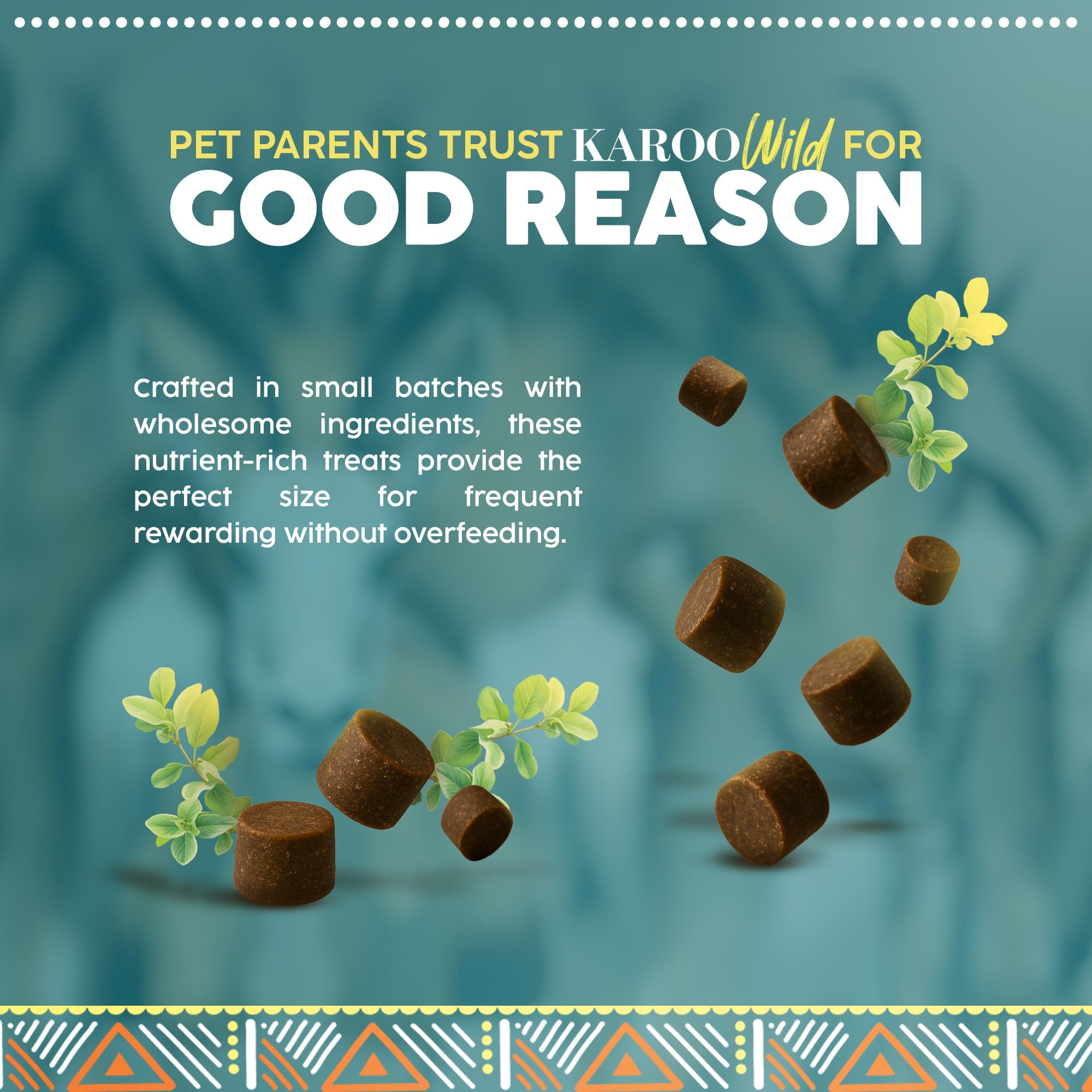 Karoo Wild Training Bits Oregano Seasoned Treats for Dogs - 4 oz - Soft & Chewy Protein Bits Made with African Antelope - Great