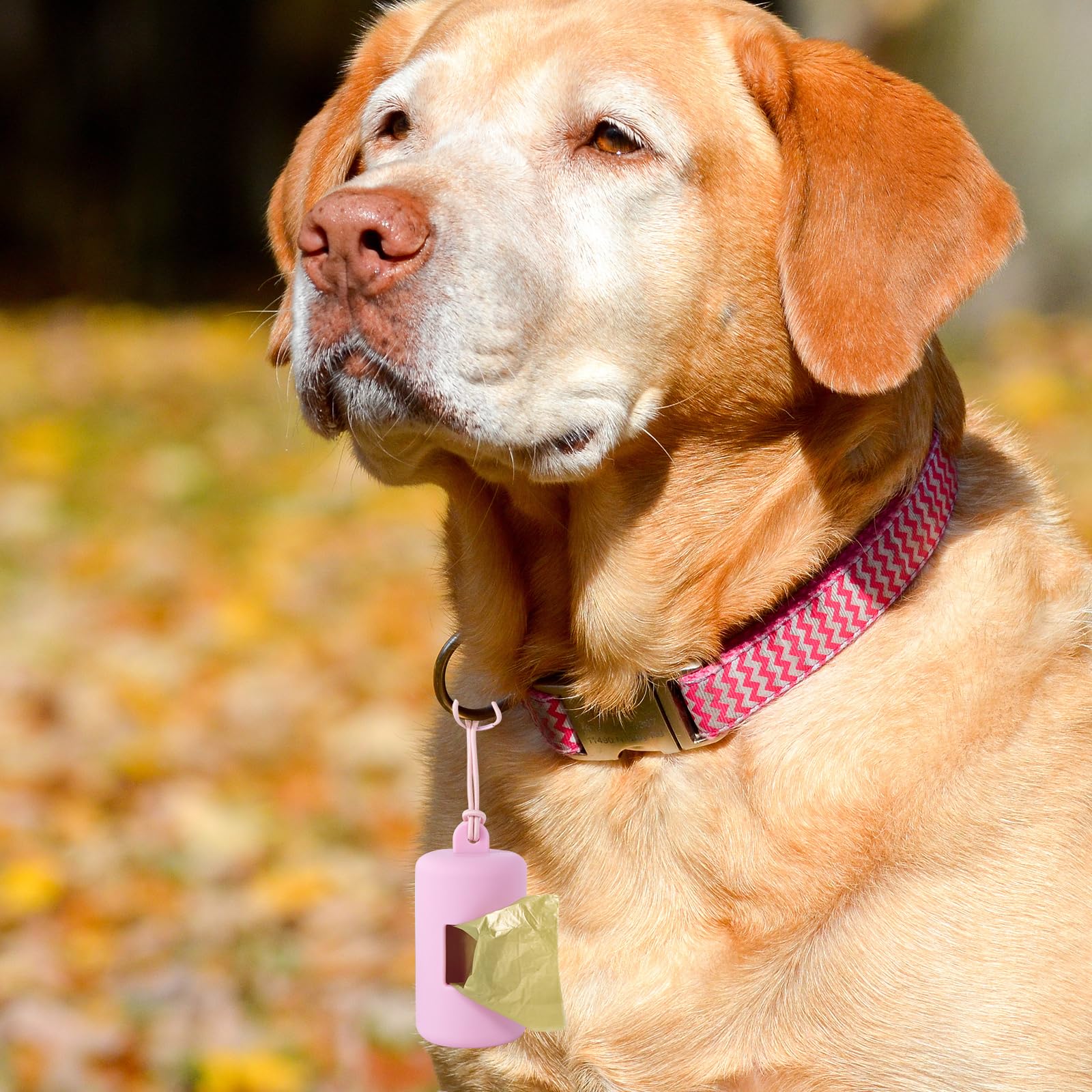 3Pack Dog Poop Bag Holder For Leash,One Piece Molded Soft Plastic Pet Waste Bag Dispenser With Elastic Loop Protable Doggie Poop