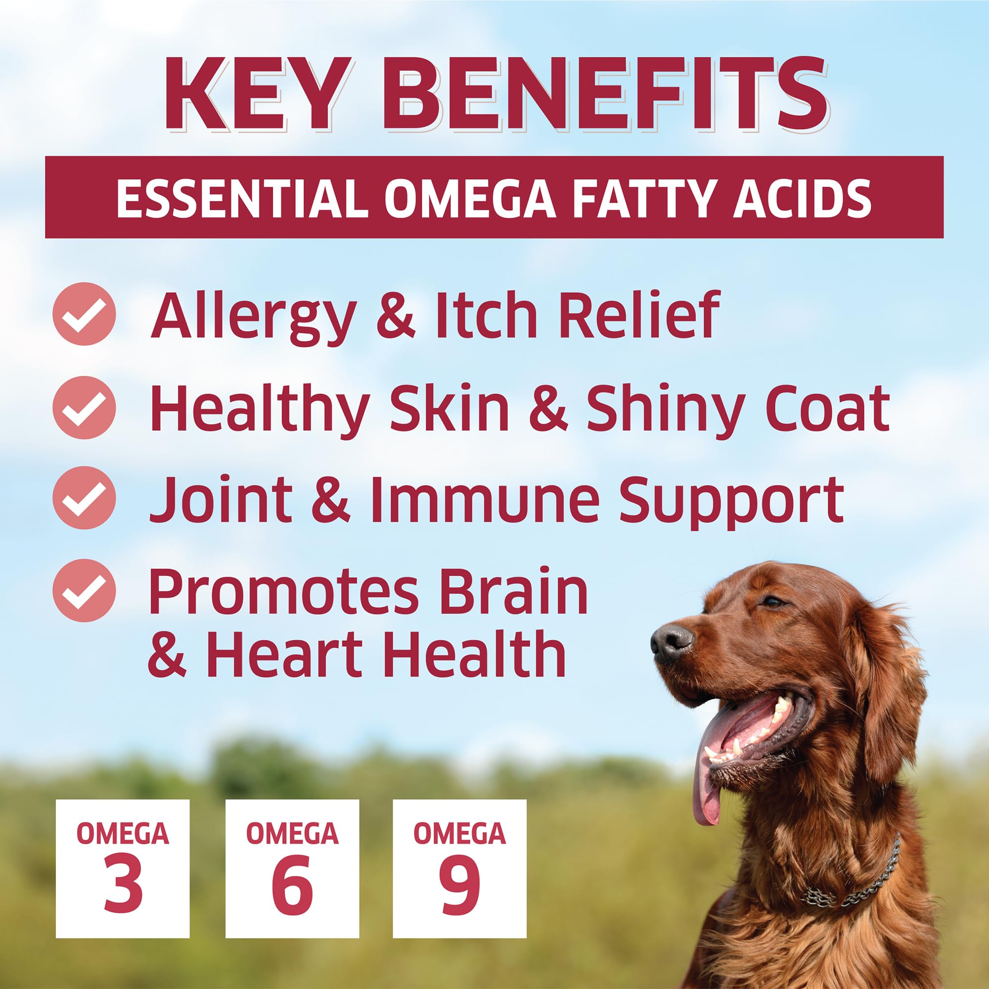 Salmon Oil for Dogs - Wild Alaskan Fish Oil for Dogs - Omega 3 for Dogs - Itch Relief for Dogs - Dog Joint Health - Dog Allergy