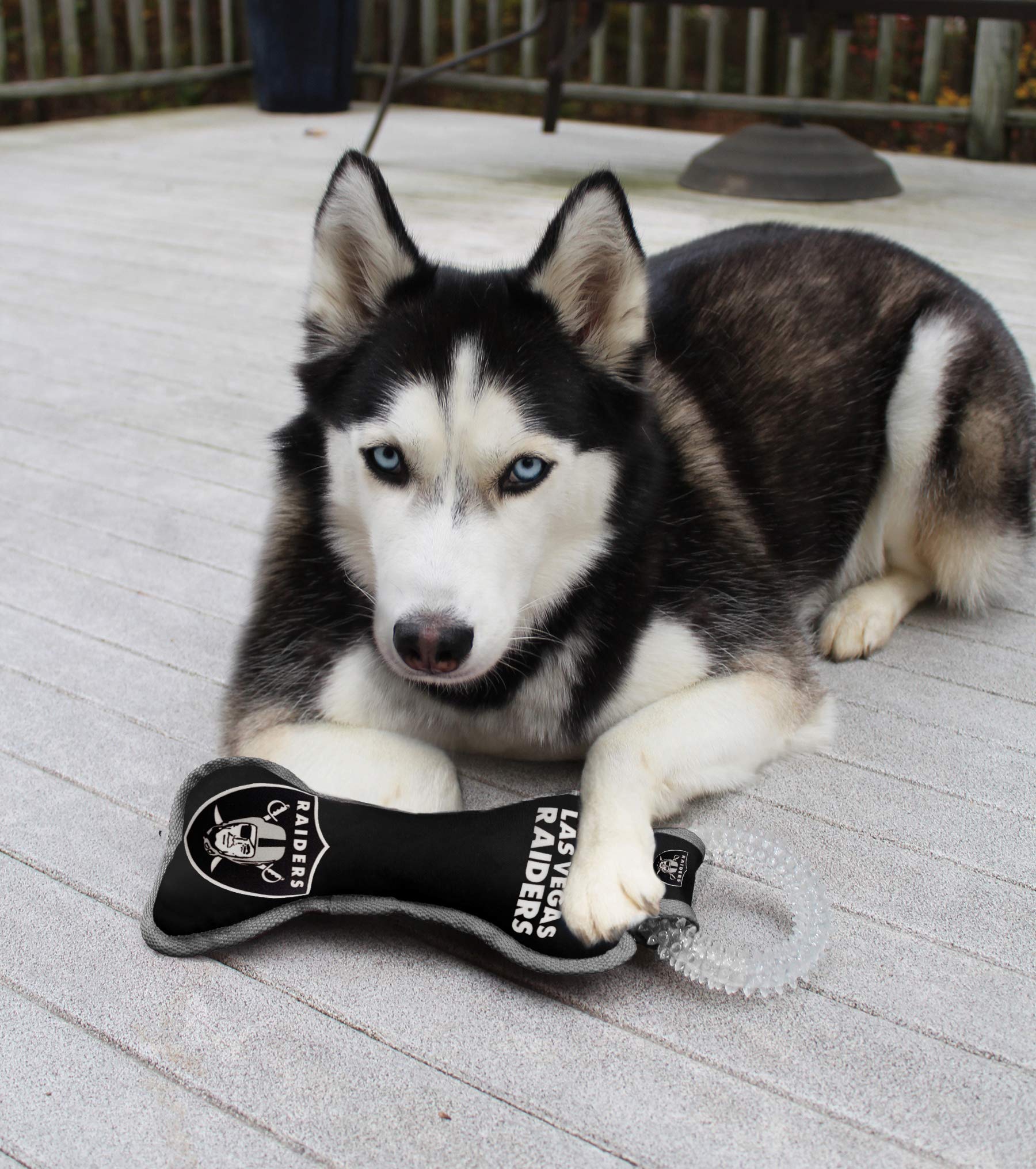 Pets First NFL Las Vegas Raiders Football Dental Tough Dog TUG Bone Toy with Built-in Squeaker Attached to a Safe Rubber Teethin