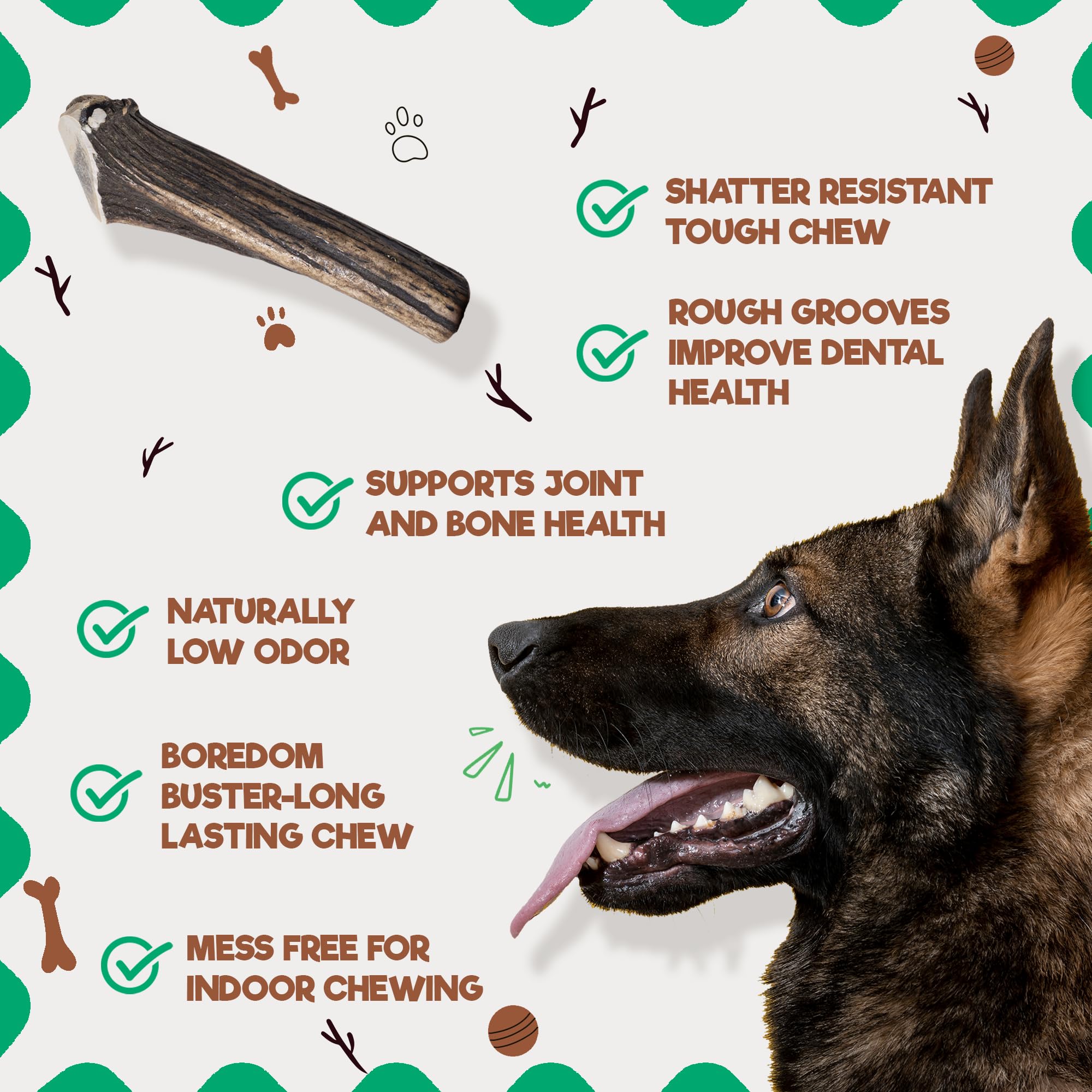 Jack&Pup Whole Elk Antlers For Dogs Large | Naturally Shed Rawhide Free Dog Chews Long Lasting Elk Horns For Dogs | Dog Antlers