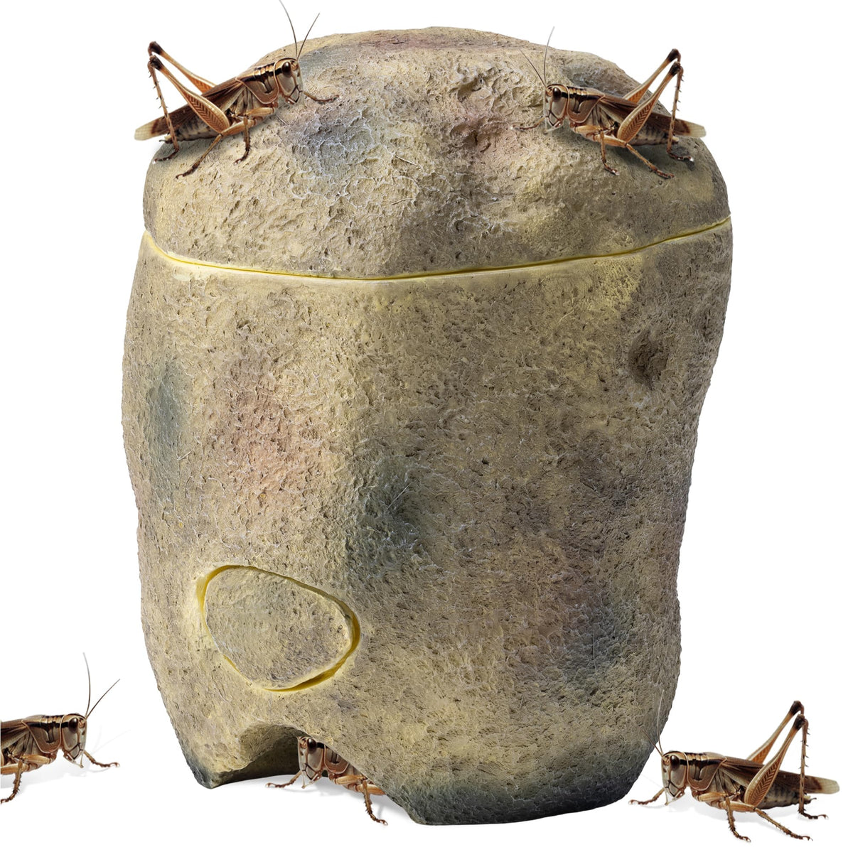 Navaris Reptile Cricket Feeding Rock - Realistic Polyresin Terrarium Stone Feeder For Reptiles With Hole For Crickets To Come Ou