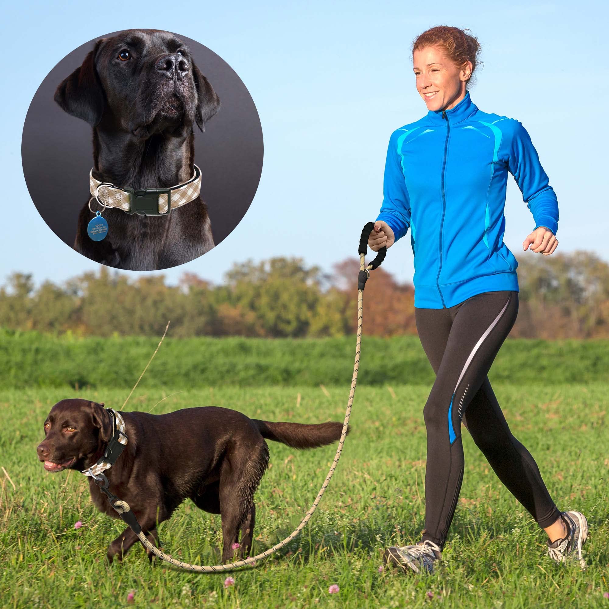 Ladoogo Reflective Dog Collar Padded With Soft Neoprene Breathable Adjustable Nylon Dog Collars For Small Medium Large Dogs (Large (Pack Of 1), Vanilla Plaid Collar+Leash)