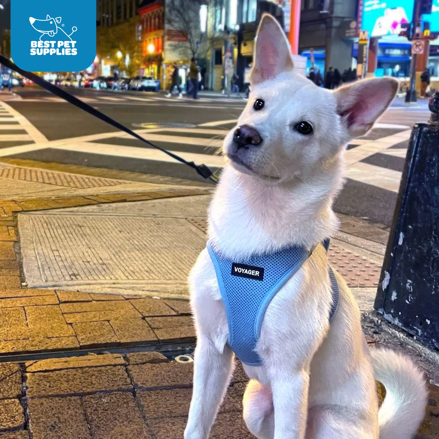 Voyager Step-In Air Dog Harness - All Weather Mesh Step In Vest Harness For Small And Medium Dogs And Cats By Best Pet Supplies - Harness (Baby Blue), M (Chest: 16-18')