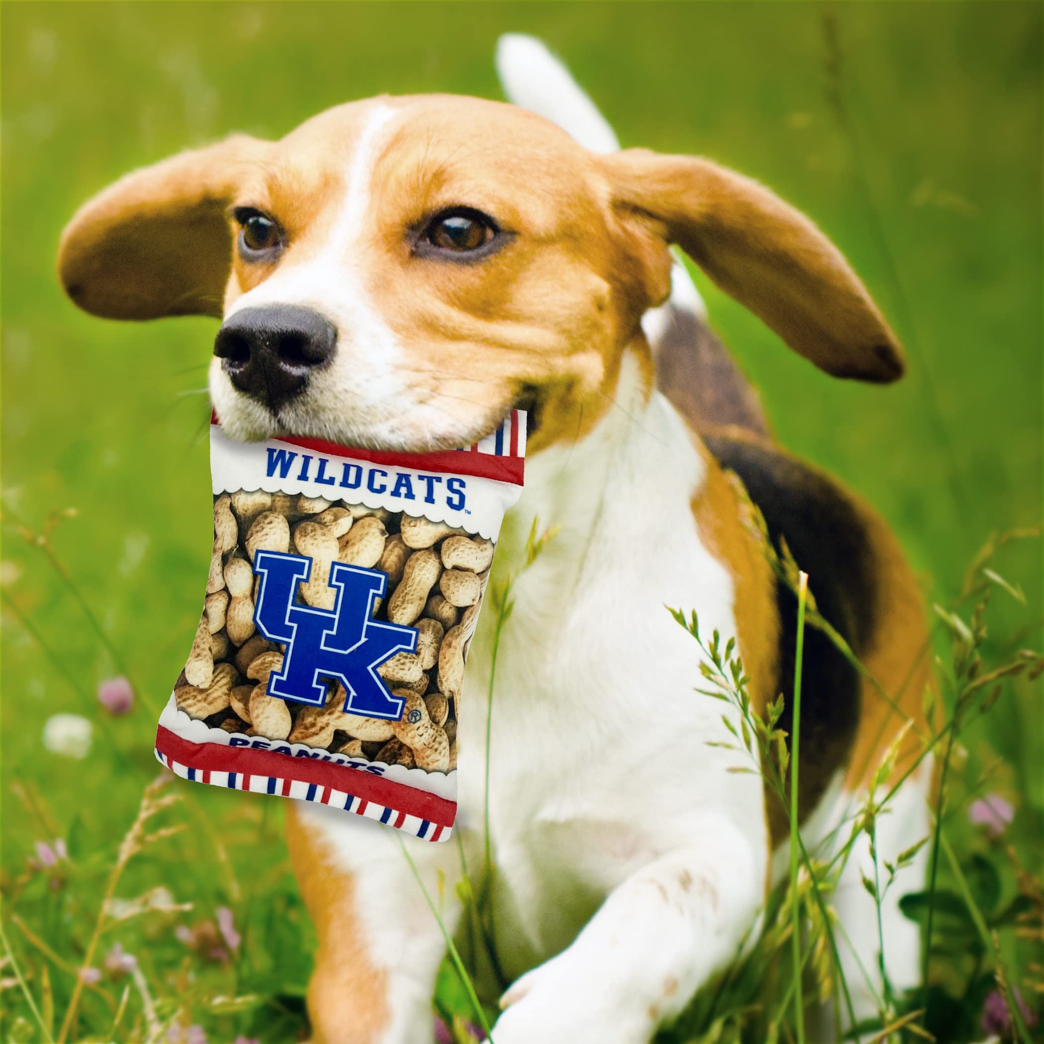 Pets First Ncaa Kentucky Wildcats Crinkle Fine Plush Dog & Cat Squeak Toy- Cutest Stadium Peanuts Snack Toy For Dogs & Cats With