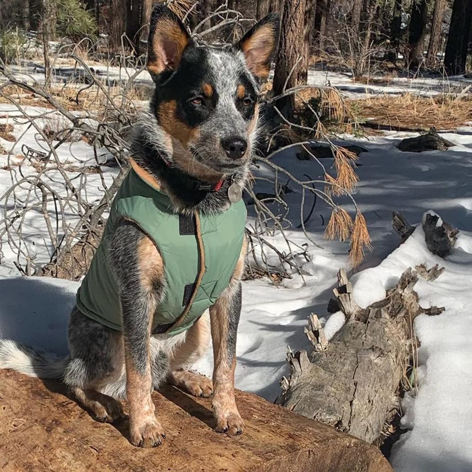 Gooby - Sports Vest, Fleece Lined Small Dog Cold Weather Jacket Coat Sweater With Reflective Lining, Green, Large
