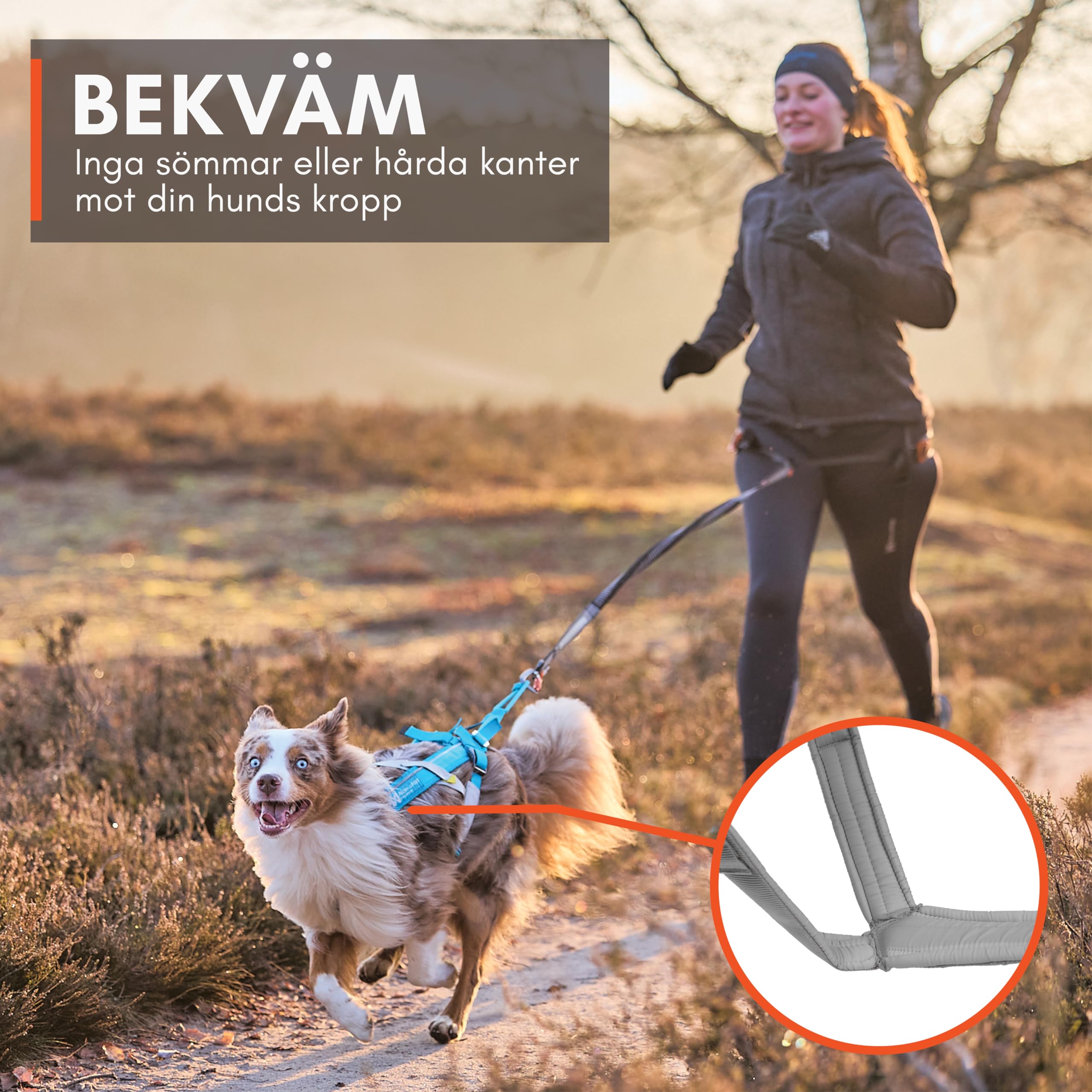 Non-Stop Dogwear Freemotion Harness 5.0 Dog Pulling Harness For Sports Like Running, Biking And Skiing With Dogs, Professional Adjustable Dog Harness, Orange/Black, Size 6