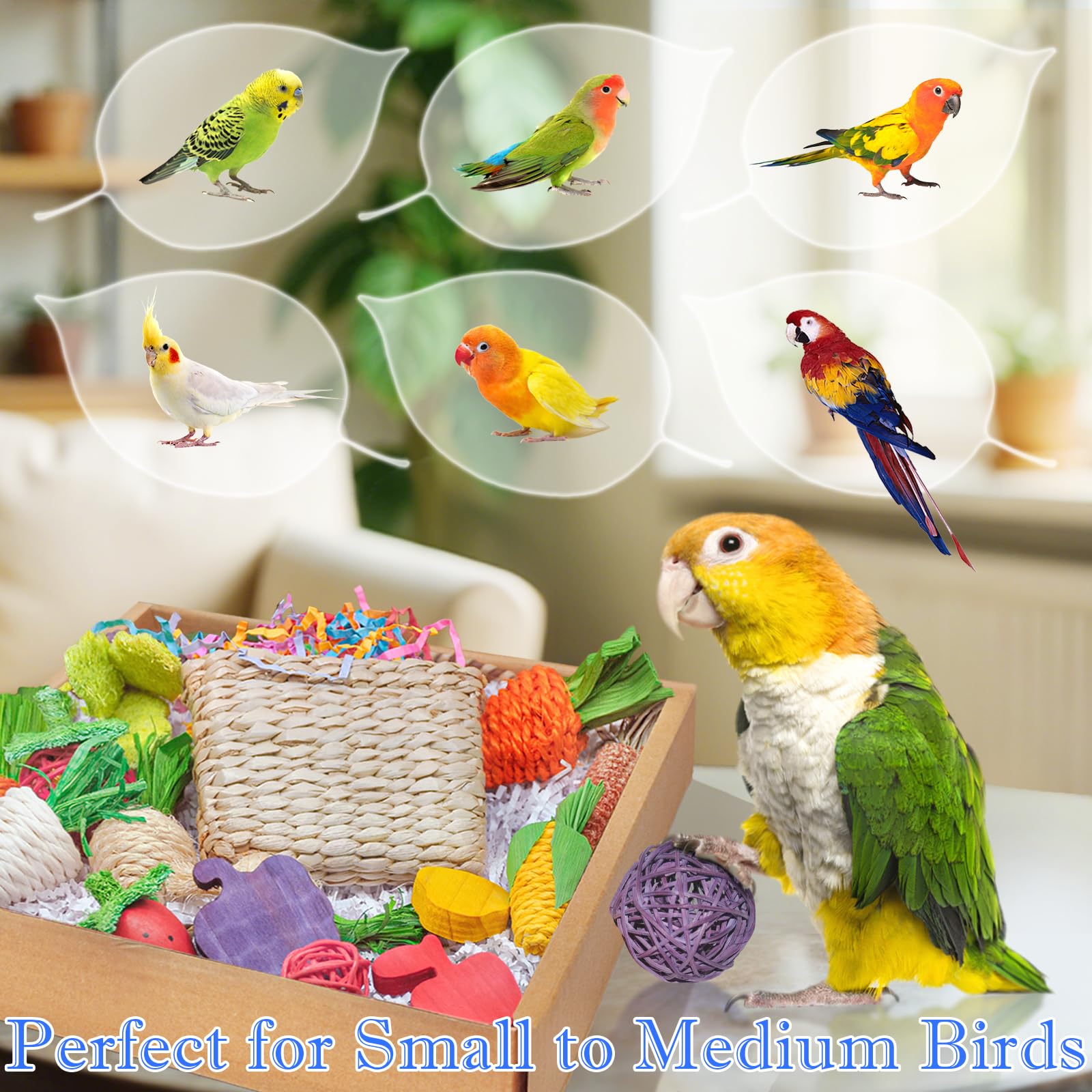 HOSUKU Colorful Bird Foraging & Parrot Shredding Toys Box - Safe Fruit & Vegetable Bird Toys, Perfect for Parakeets, Cockatiels,