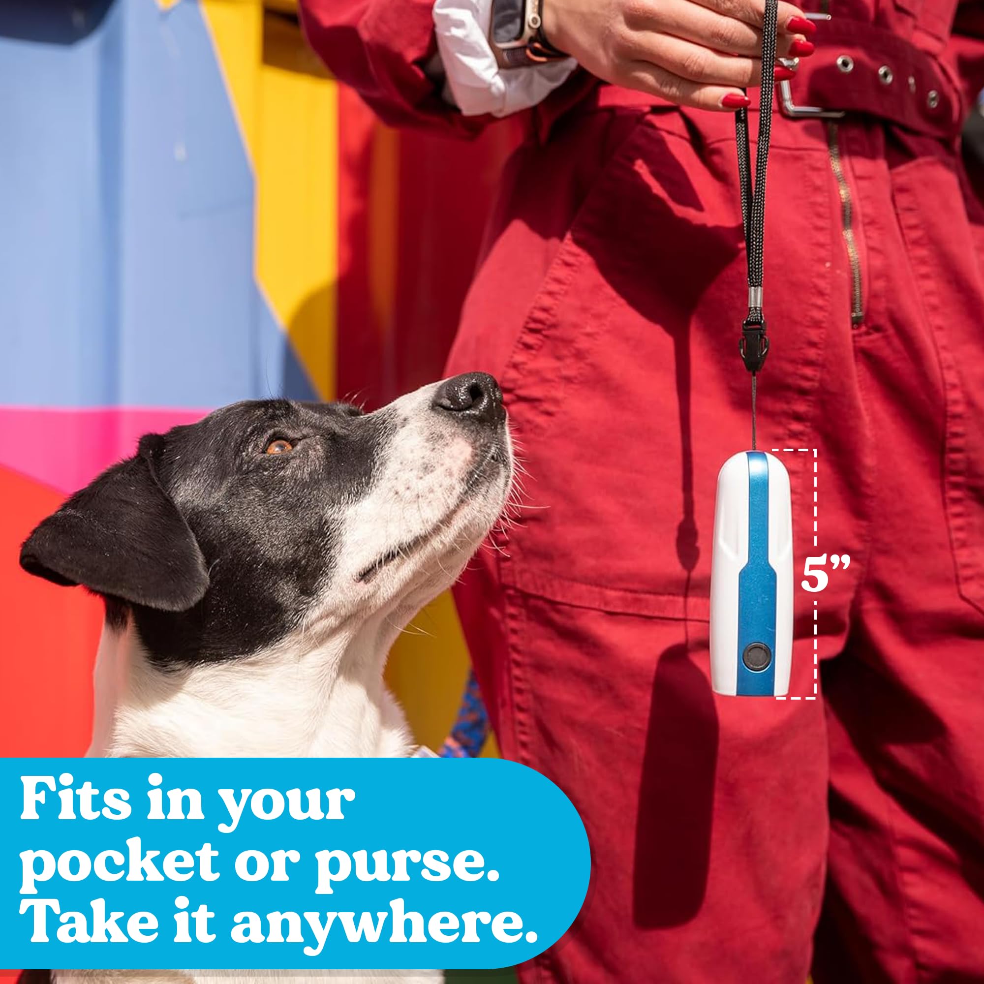 Doggie Don't Sound Only Dog Training Tool - Safe, Non-Shocking Device with Replaceable Batteries for Barking & Jumping, Blue