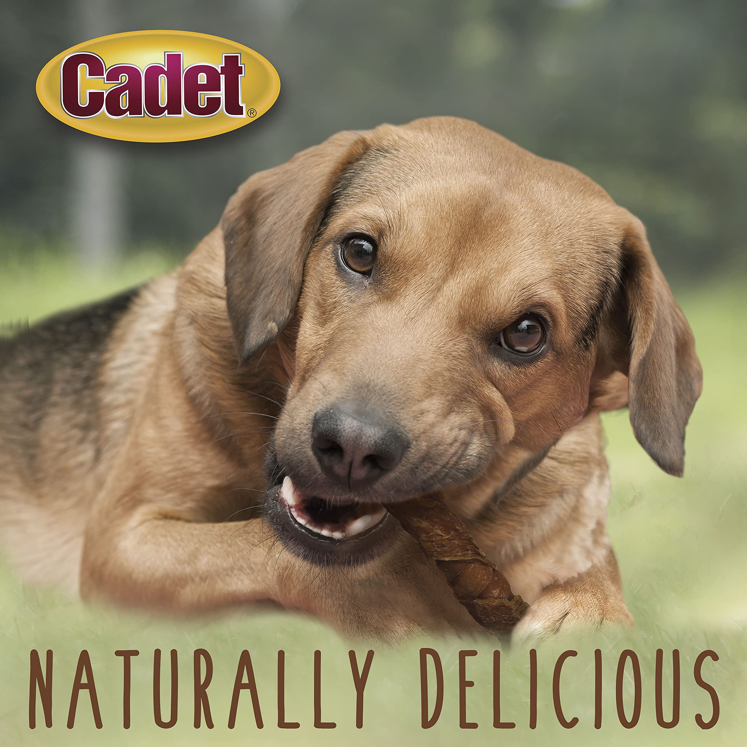 Cadet Gourmet Triple Chews Pork Hide, Sweet Potato, & Duck Dog Treats - Healthy Dog Treats for Small & Large Dogs - Inspected &