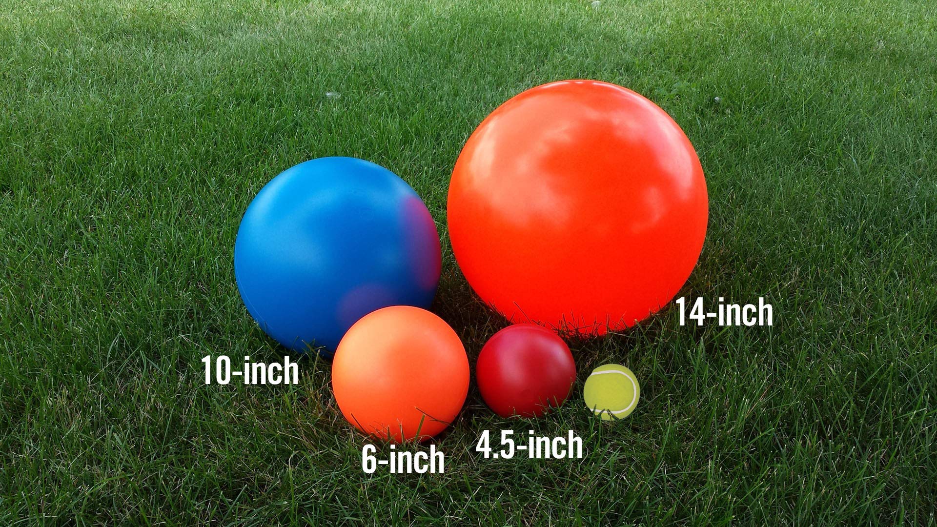 Doggie Dooley B00Cit99Bc Virtually Indestructible Best Ball (Hard Plastic, Colors May Vary), All Breed Sizes , 14 Inch