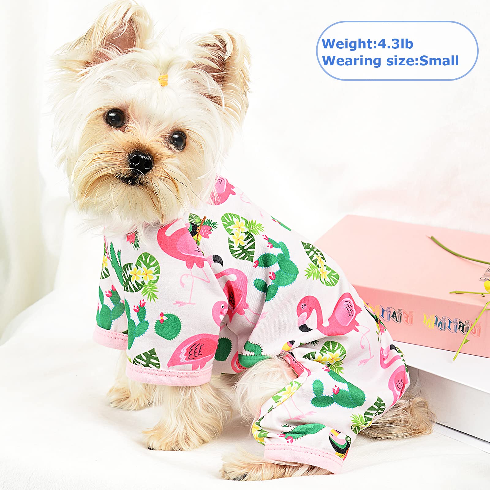 Dog Pajamas Pjs Dog Clothes for Small Dogs Girl Cute Soft Puppy Clothes Stretchable Dog Apparel Onesies for Chihuahua Yorkie Tea