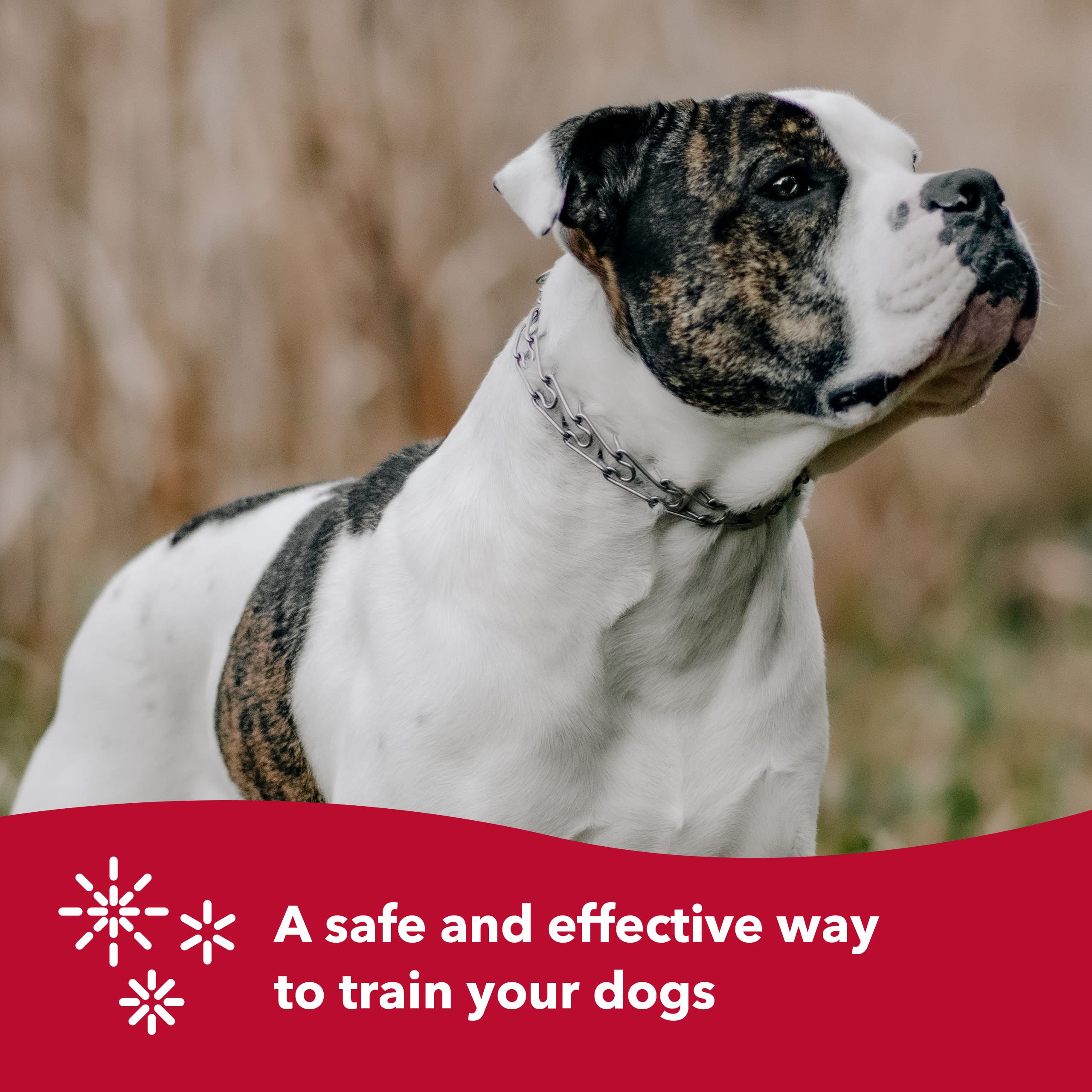 Herm Sprenger Ultra-Plus Prong Dog Training Collar, 4 Mm X 21' Neck Size, 4 Mm X 25' Chain Length, Steel Chrome Plated Dog Prong Collar, Pinch Collar For Dogs, Dog Correction Collar