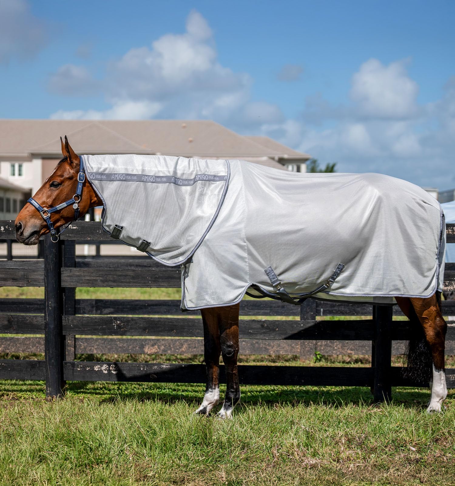 Horseware Amigo Bug Rug Plus Fly Sheet - Silver/Titanium Grey & Silver, 78