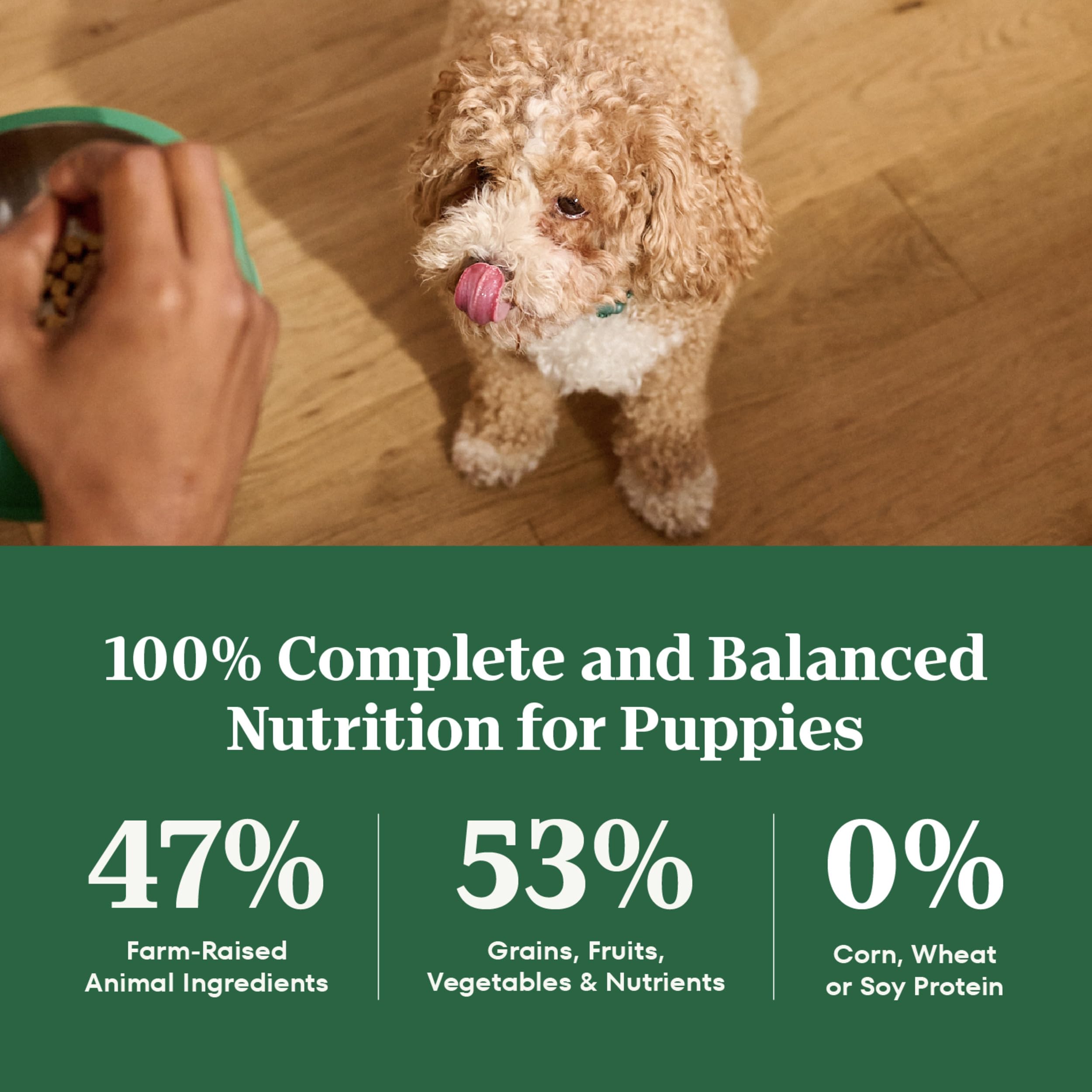 Nutro Natural Choice Puppy Dry Dog Food, Chicken and Brown Rice Recipe, 13 lbs.