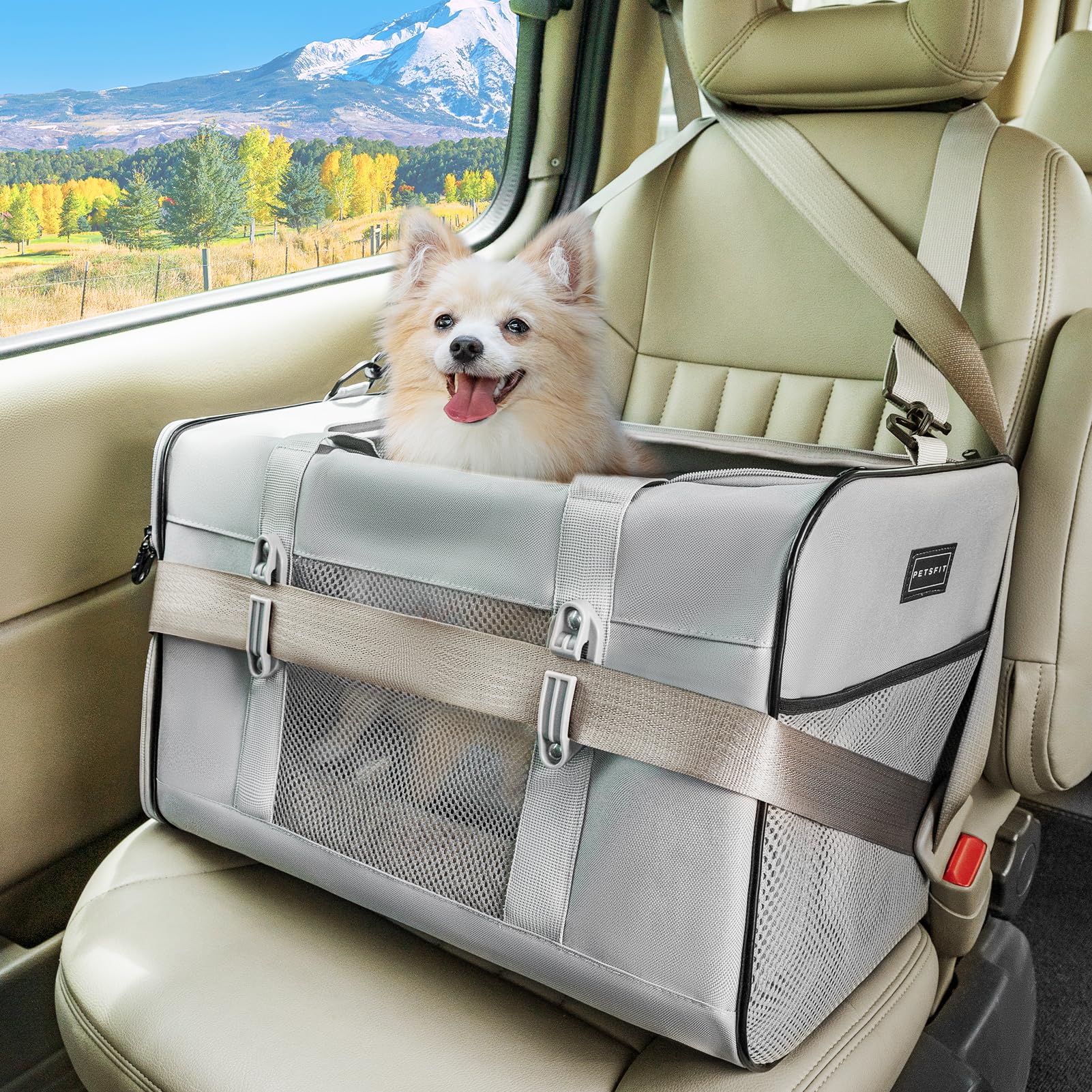 Petsfit Travel Pet Carrier For Large Cats (Up To 20 Lbs), Soft-Sided Dog Car Travel Carrier With Patented Buckle And Soft Paddin