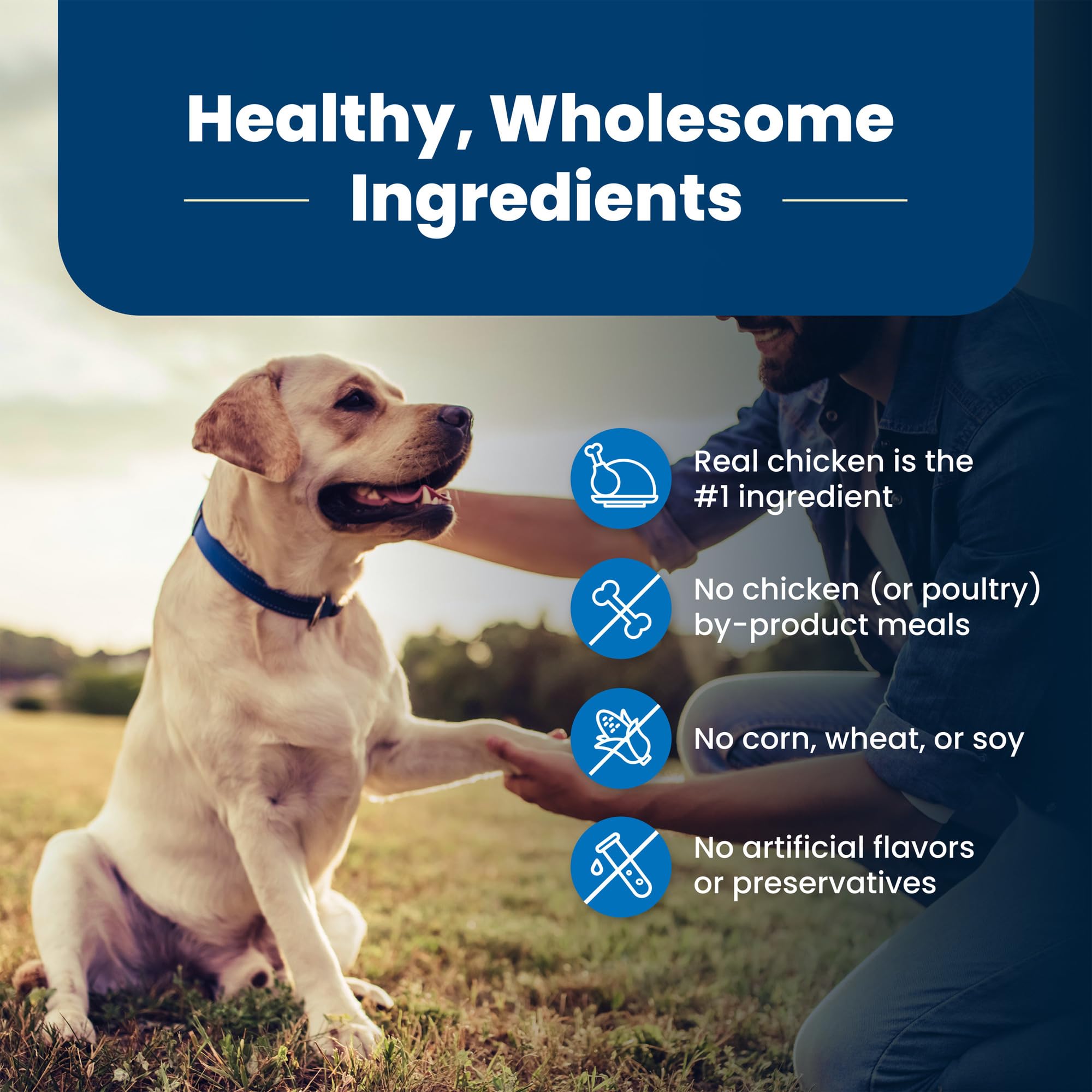 Blue Buffalo Life Protection Formula Senior Dry Dog Food, Supports Joint Health and Mobility, Made with Natural Ingredients, Chi