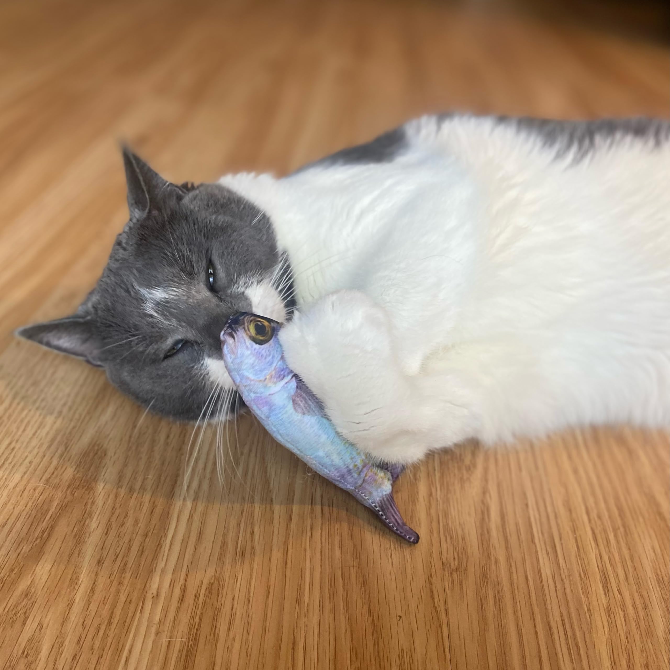 Spot Fanatic Fish - Plush Cat Toy With Catnip And Crinkle Sound, Realistic Looking Fish Toy For Cats & Kittens To Cuddle, Chase, Hug, Kick, And Swat -6.5In, 1 Piece