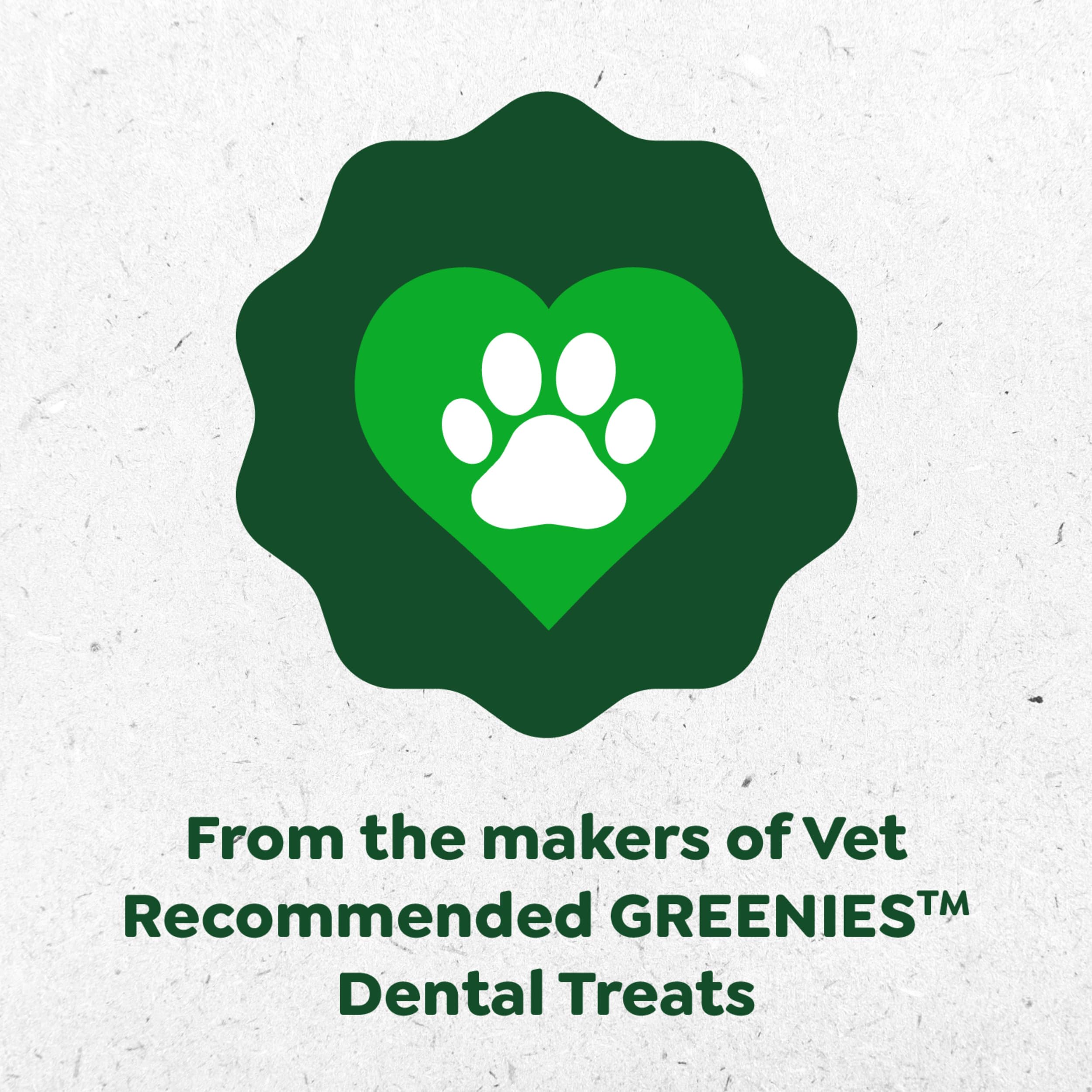 Greenies Sensitive Care Skin and Coat Supplement for Dogs with Fish Oil for Dogs Chicken-Free Formula Dog Supplement, Peanut But