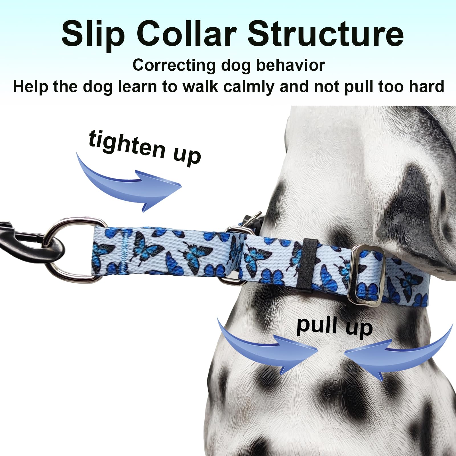 Fidohug Martingale Dog Collar With Buckle Adjustable Nylon Cute Girl No Pull Anti Escape Training Dog Collars (Blue Butterfly, M