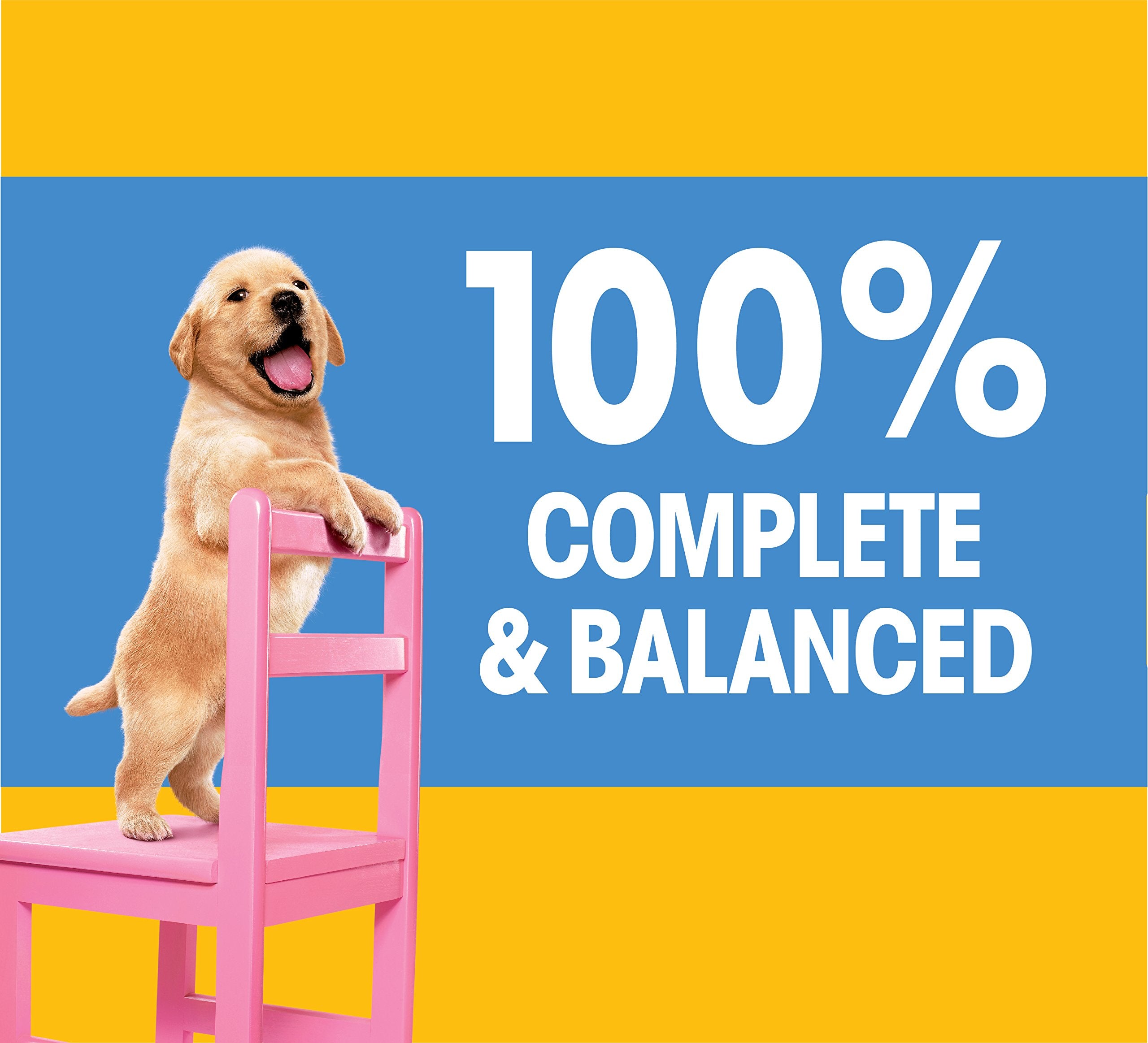 Pedigree Puppy Growth & Protection Dry Dog Food Chicken & Vegetable Flavor, 16.3 lb. Bag