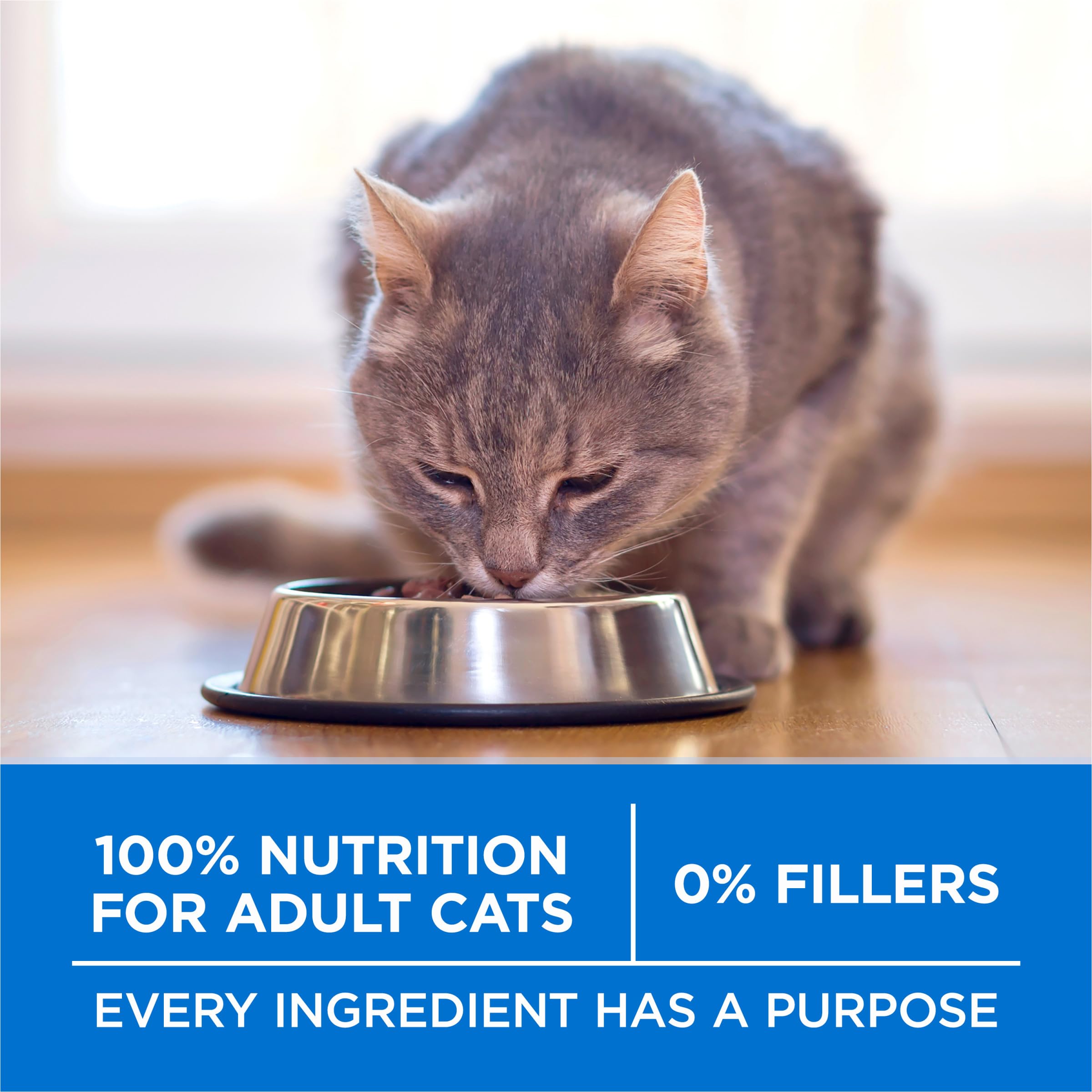 Purina ONE Plus High Protein Cat Food Dry Salmon and Ocean Whitefish Cat Skin and Coat Health Formula - 7 lb. Bag