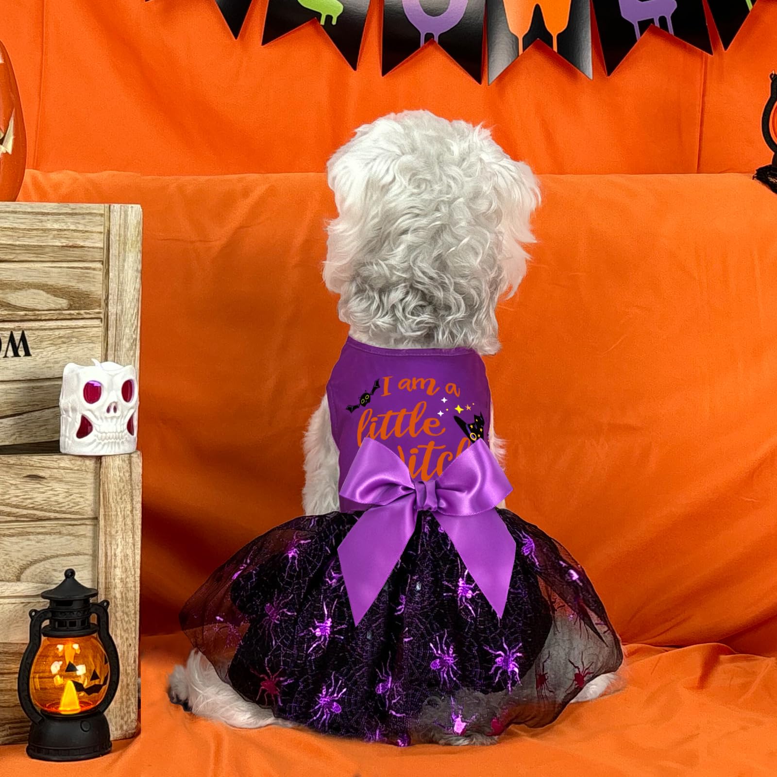 Xpudac Halloween Dog Dress Witch Tulle Dress Holiday Dog Clothes For Small Dogs Girl, Spider Pet Costume Cat Apparel, Purple-Xs