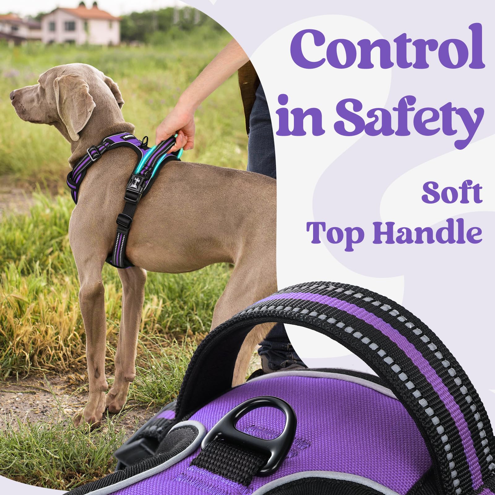 Rabbitgoo Dog Harness For Large, No Pull Pet Harness With 3 Buckles, Adjustable Soft Padded Pooch Vest With Instant Control Handle, Easy Walking Reflective Pet Vest For Large Dogs, Purple, L