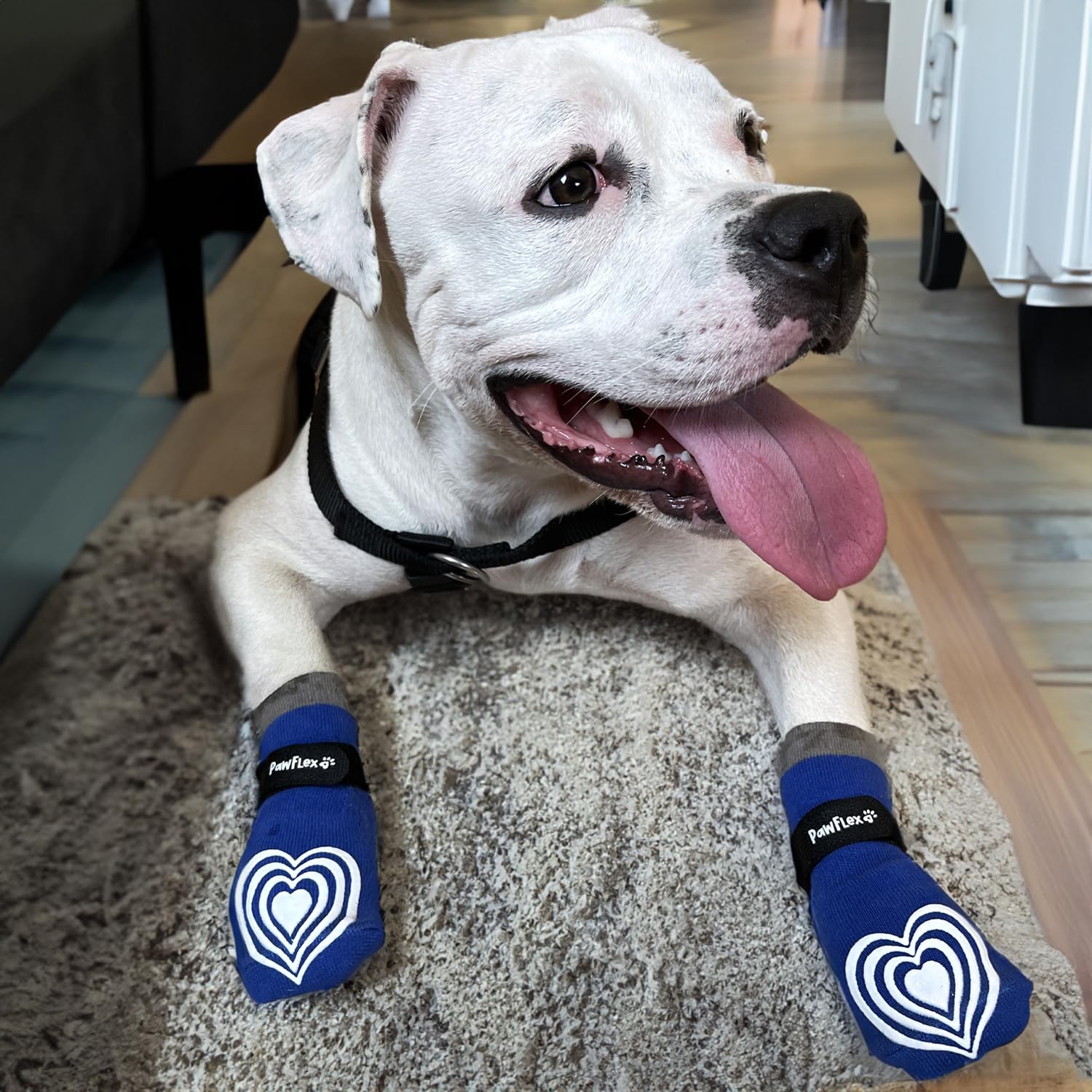 Double Sided Non-Slip Cotton Dog Socks| Pawflex Comfy Pawz Silicone Grip At Inner Cuff For No Twisting Or Sliding Off | Adjustab