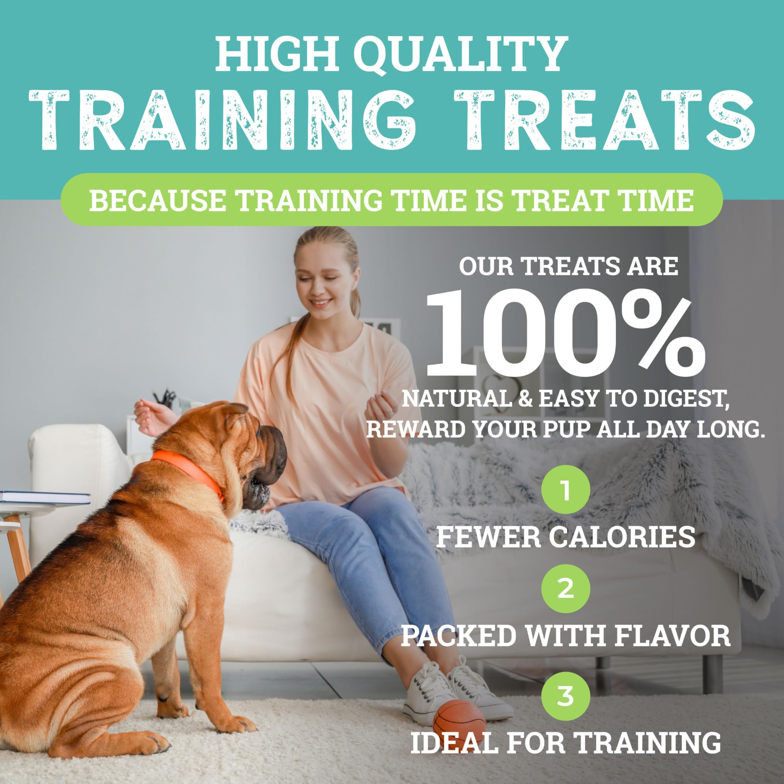 ETTA SAYS! Sit Cheese Training Treats for Dogs 16 Ounce Soft Dog Treats - Made in The USA Dog Treats, Limited Ingredients, Low C
