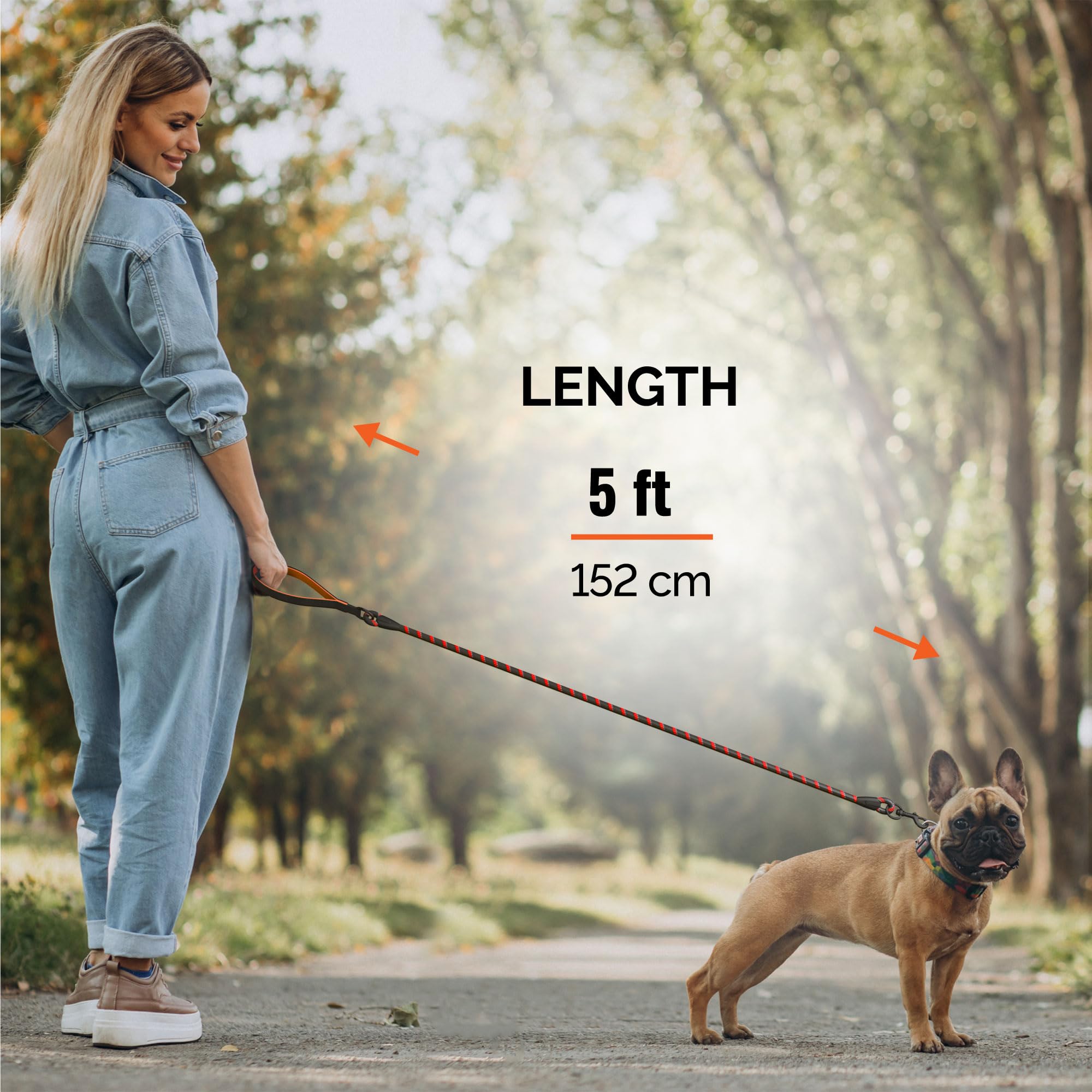 Orange Dog Leash With Soft Padded Handle - 5 Ft Reflective Heavy Duty Leash For Small, Medium & Large Dogs