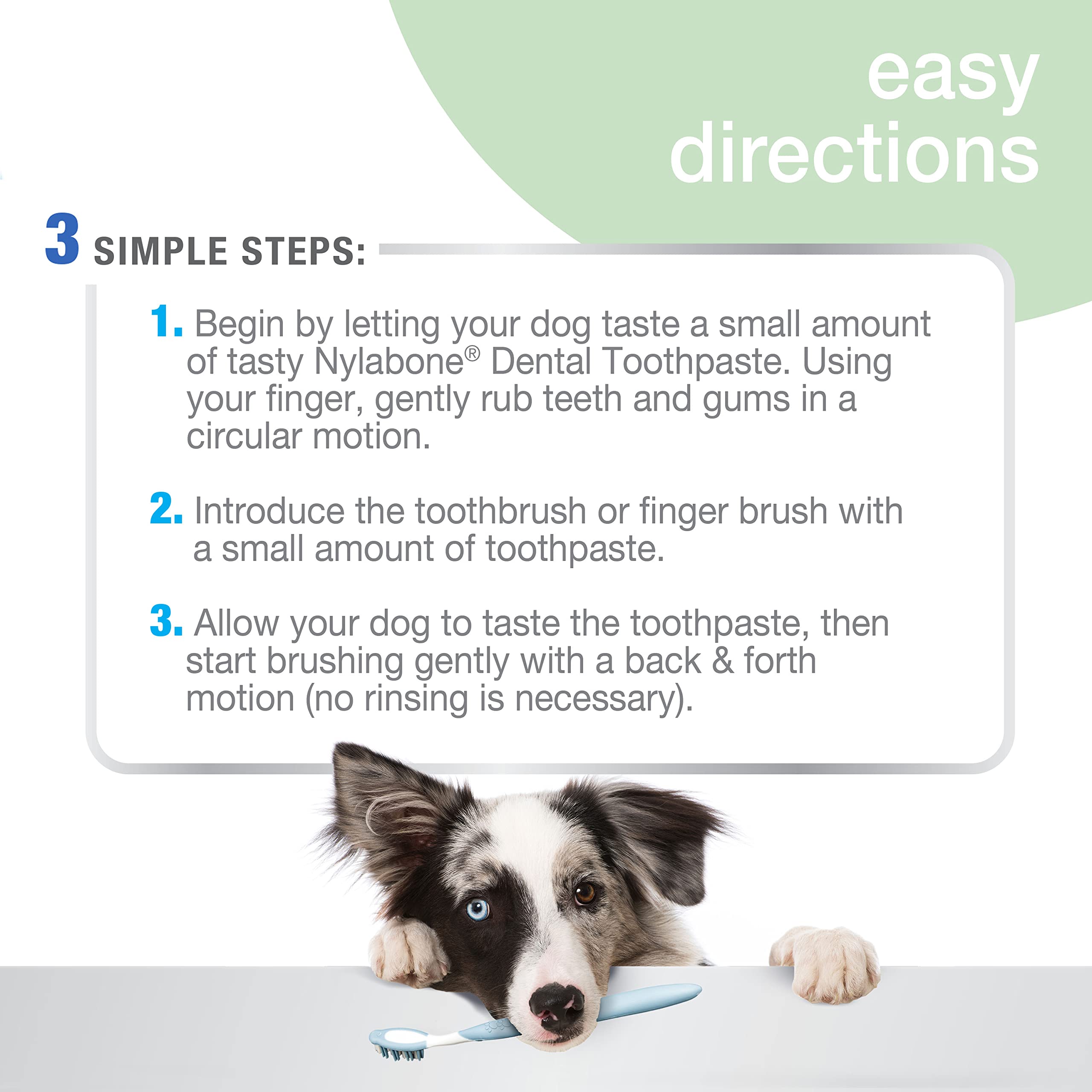 Nylabone Advanced Oral Care Natural Toothpaste Peanut Butter 2.5 oz. (1 Count)