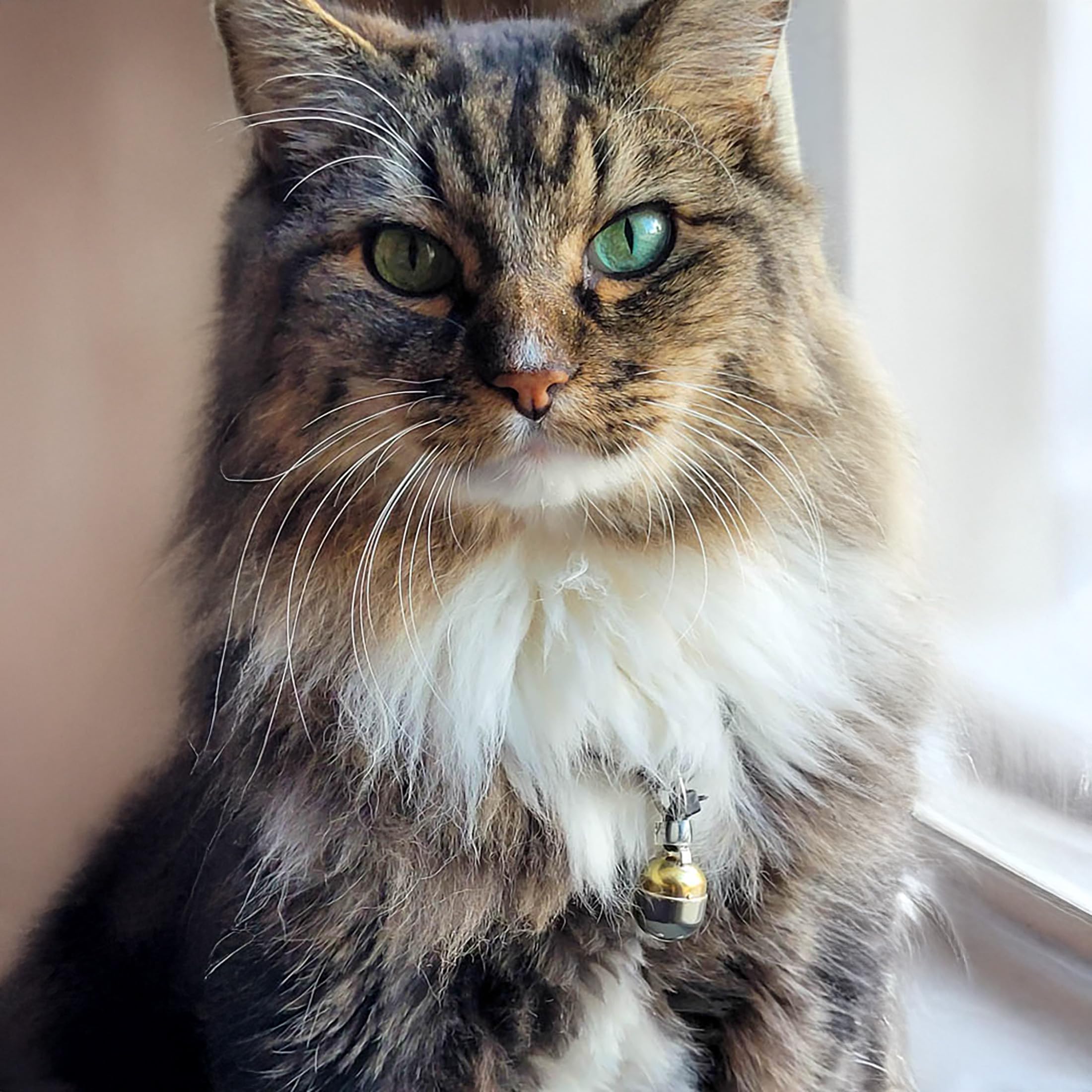 Noble Bells Pet Bells, Pair Of Two Brass And Nickel Silver Size Large Bells.