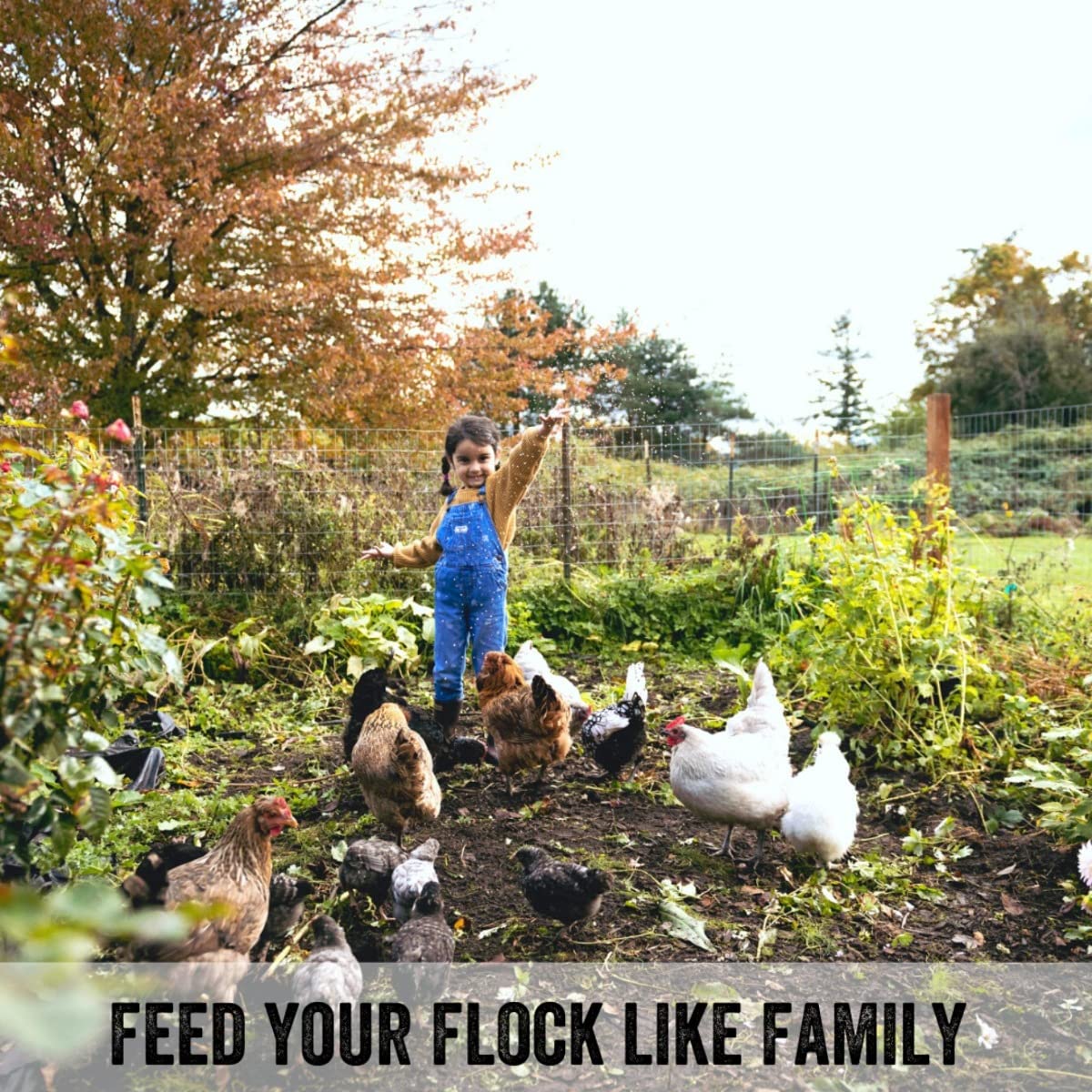 Scratch and Peck Feeds Whole Grain Grower Crumbles Chicken and Duck Feed - 25 lbs Bag - Corn-Free and Soy-Free - 17% Protein, Ce