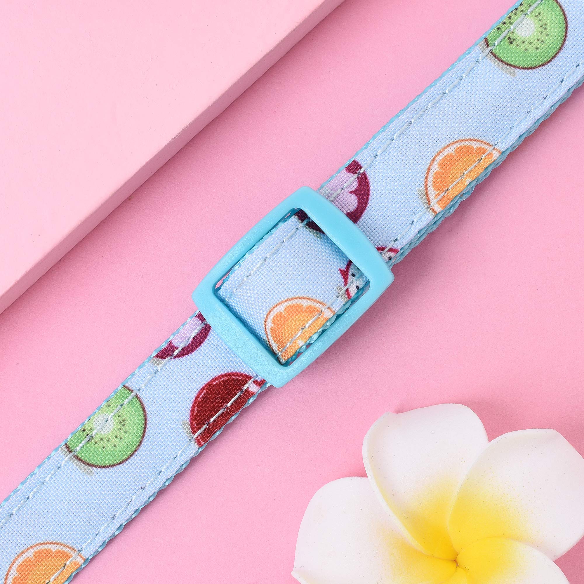 Mile High Life | Cute Dog Collar | Lightweight | Soft Poly Cotton Fabric | Citrus, Flower & Fruit Pattern (Xs)
