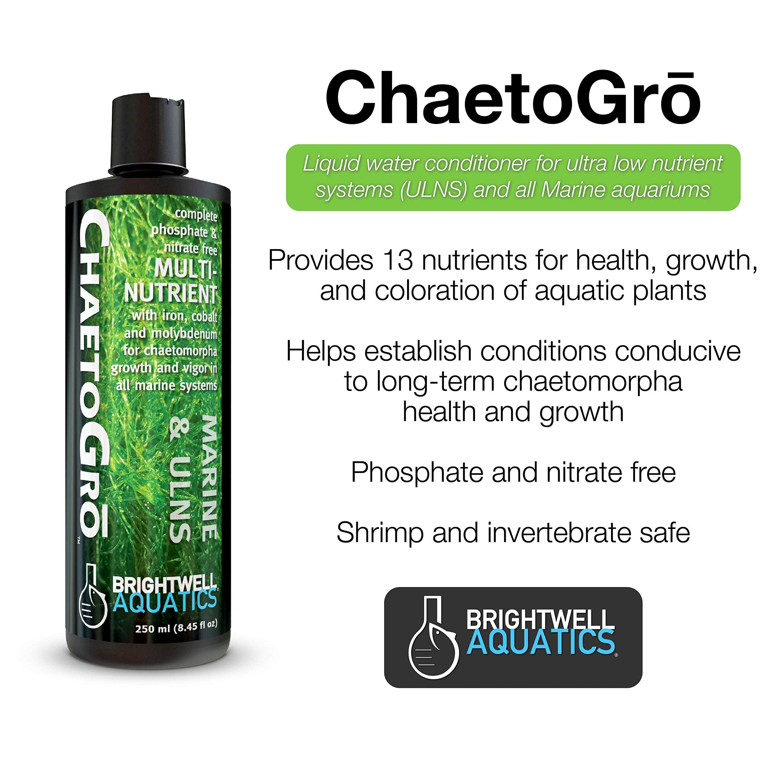 Brightwell Aquatics Chaeto GRO - Multi-Nutrient Supplement for Chaetomorpha Growth in All Marine Aquariums, 250 ML