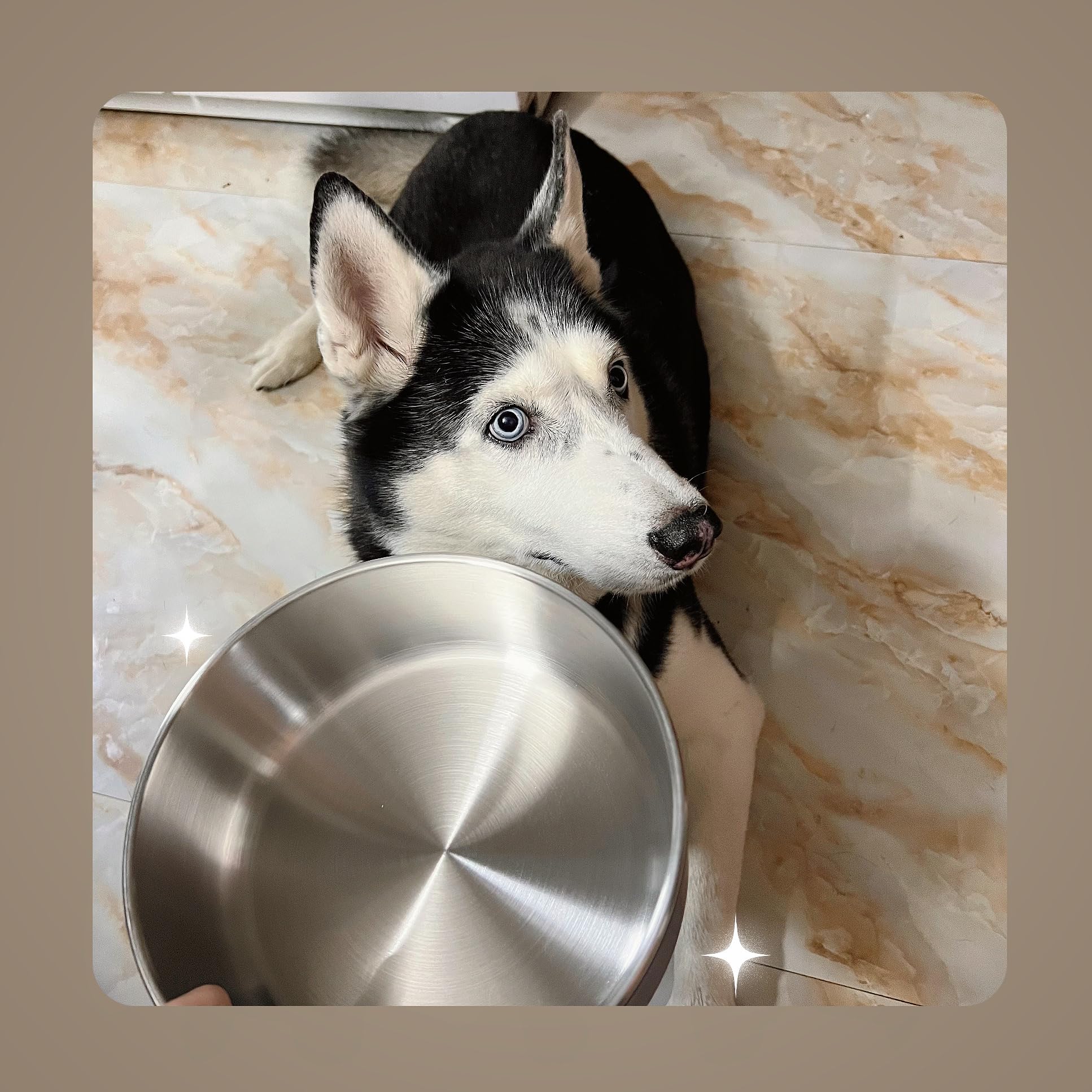 IKITCHEN Dog Bowl for Food and Water, 40 Oz Stainless Steel Pet Feeding Bowl, Durable Non-Skid Insulated Heavy Duty with Rubber