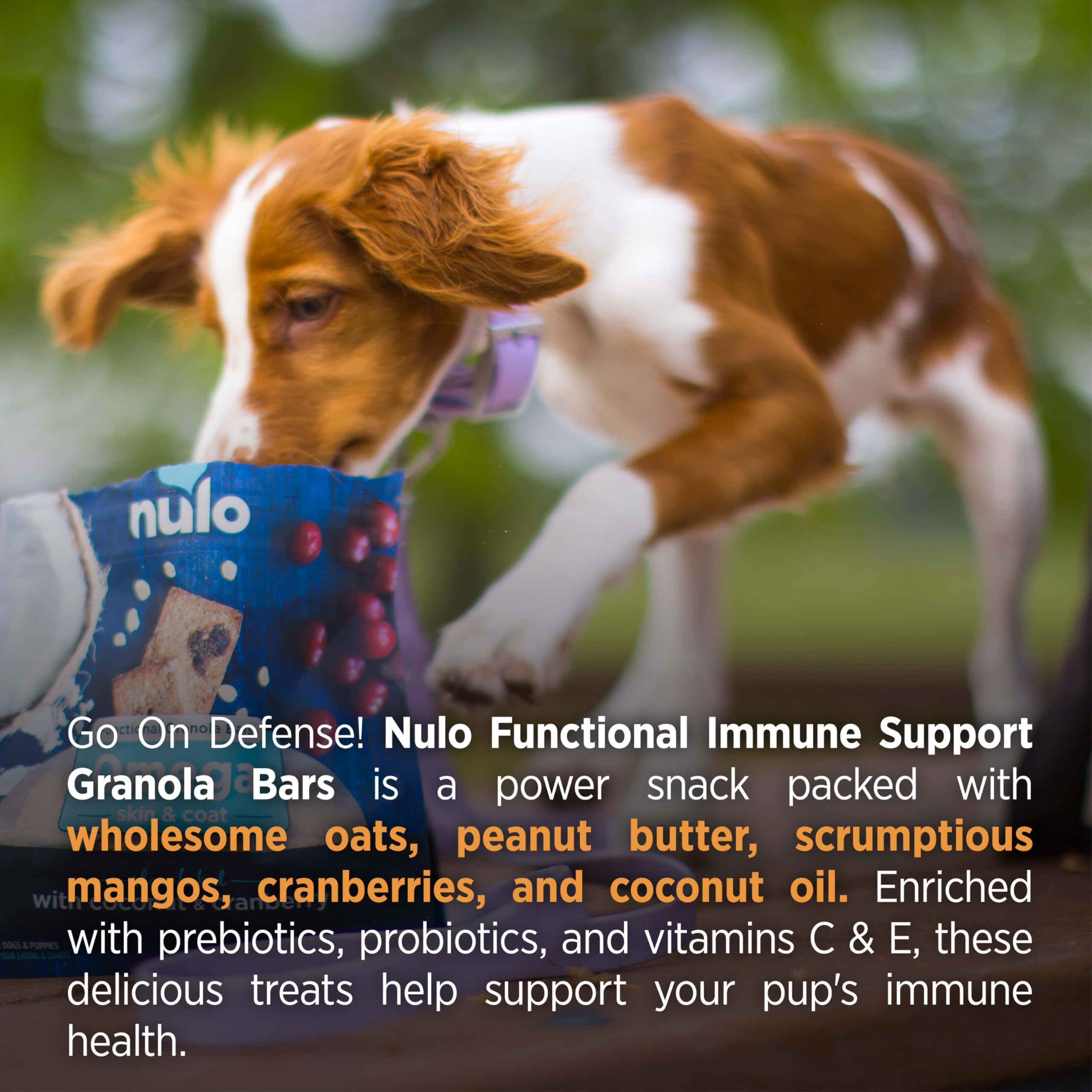 Nulo Functional Granola Bars for Dogs, Healthy Oven-Baked Treats, 10 Ounce, Immunity Boosting, No Added Salt or Sugar