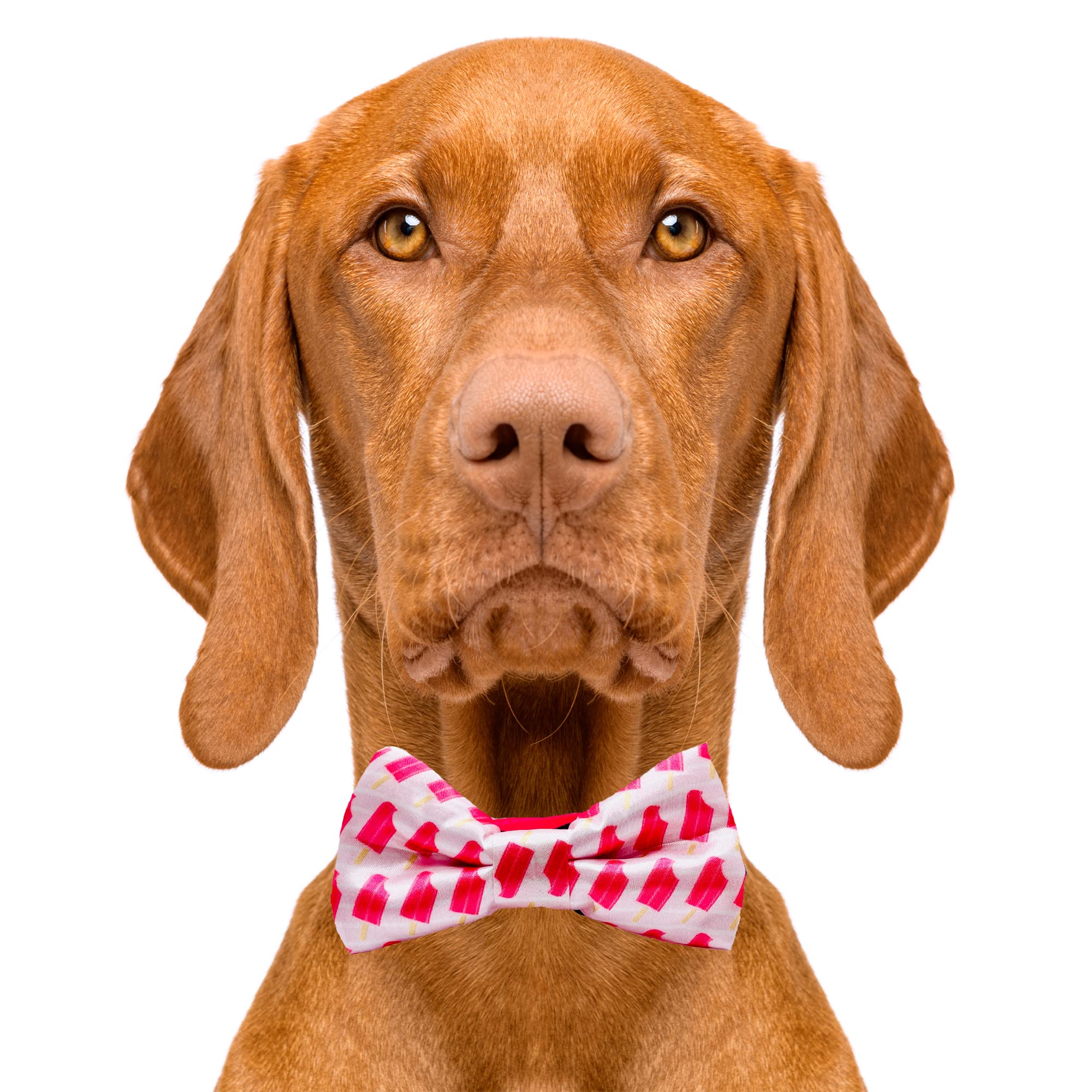 Ice Pops Pattern Dog Bow Tie