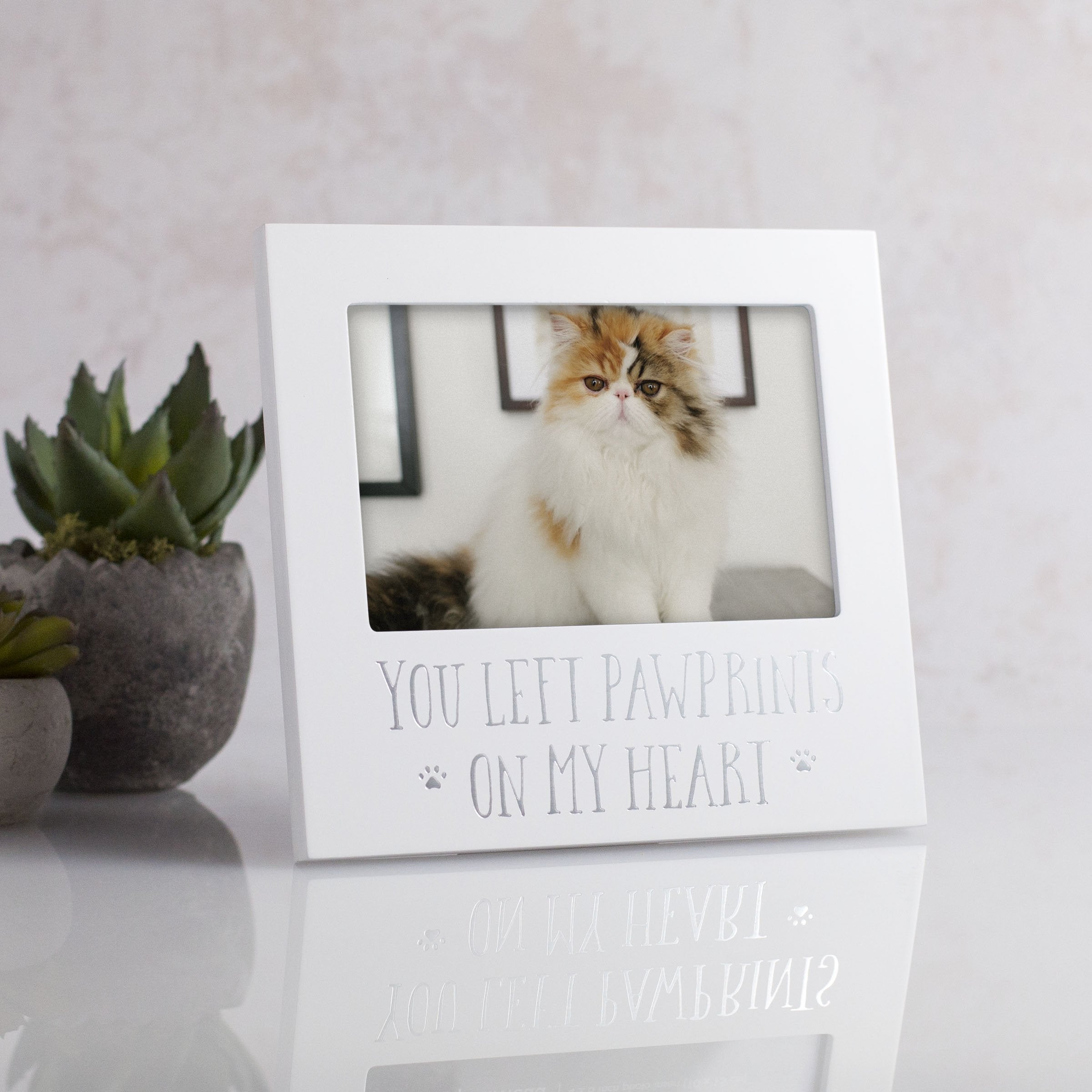 Pearhead Pet Keepsake Picture Frame - You Left Pawprints on my Heart - White - Model 83026 - Ideal for Dog or Cat Owners