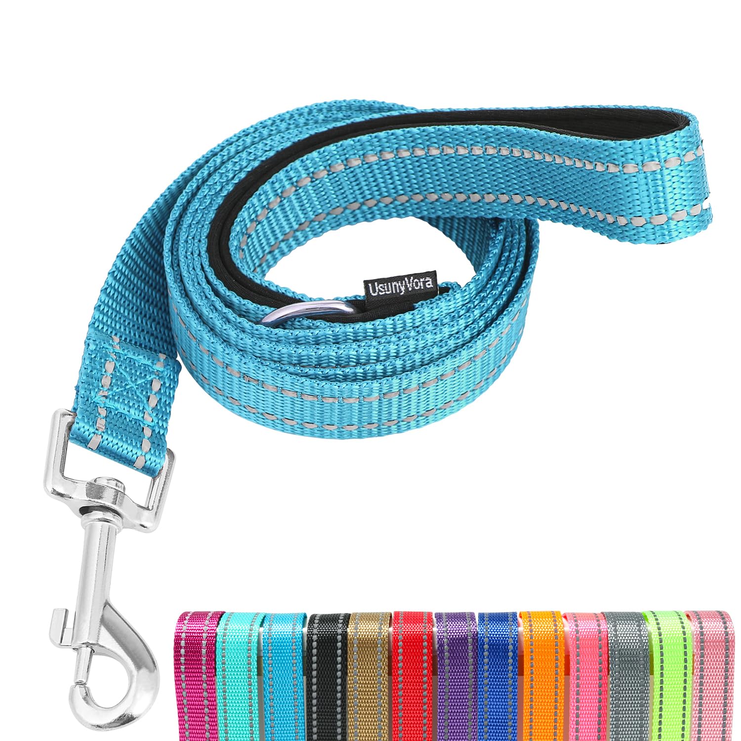 Usunyvora Reflective Nylon Dog Leash For Walking,Strong Dog Leash With Padded Handle For Medium And Large Dogs,4 Ft,Sky Blue