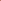Lyric Golden Safflower Seed - Attracts Cardinals, Chickadees, Woodpeckers & More - 5 Lb Bag
