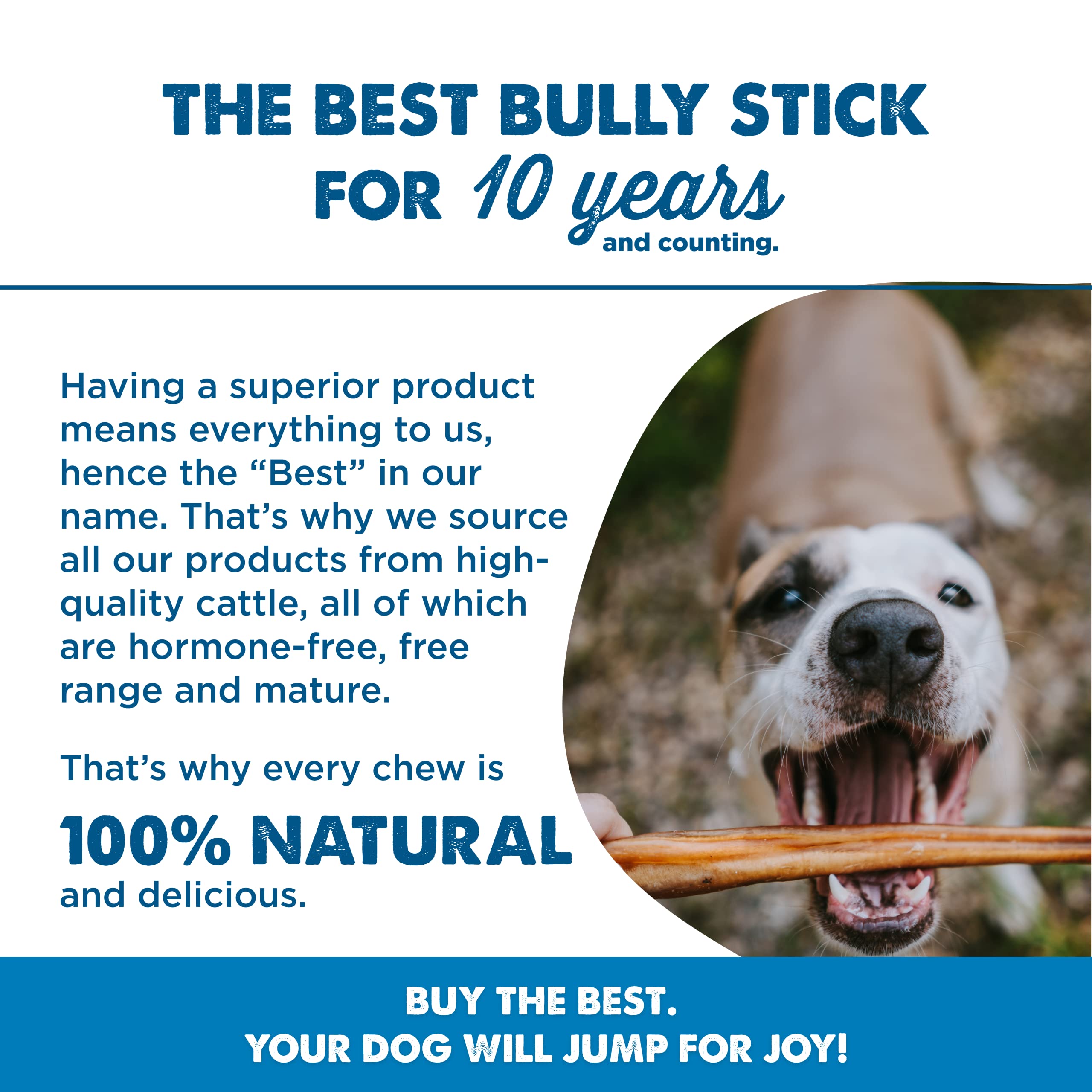 Best Bully Sticks 12 Inch Bully Sticks for Dogs - 50 Count (Pack of 1) - Natural, Easily Digestible, 100% Grass-Fed Beef, Grain