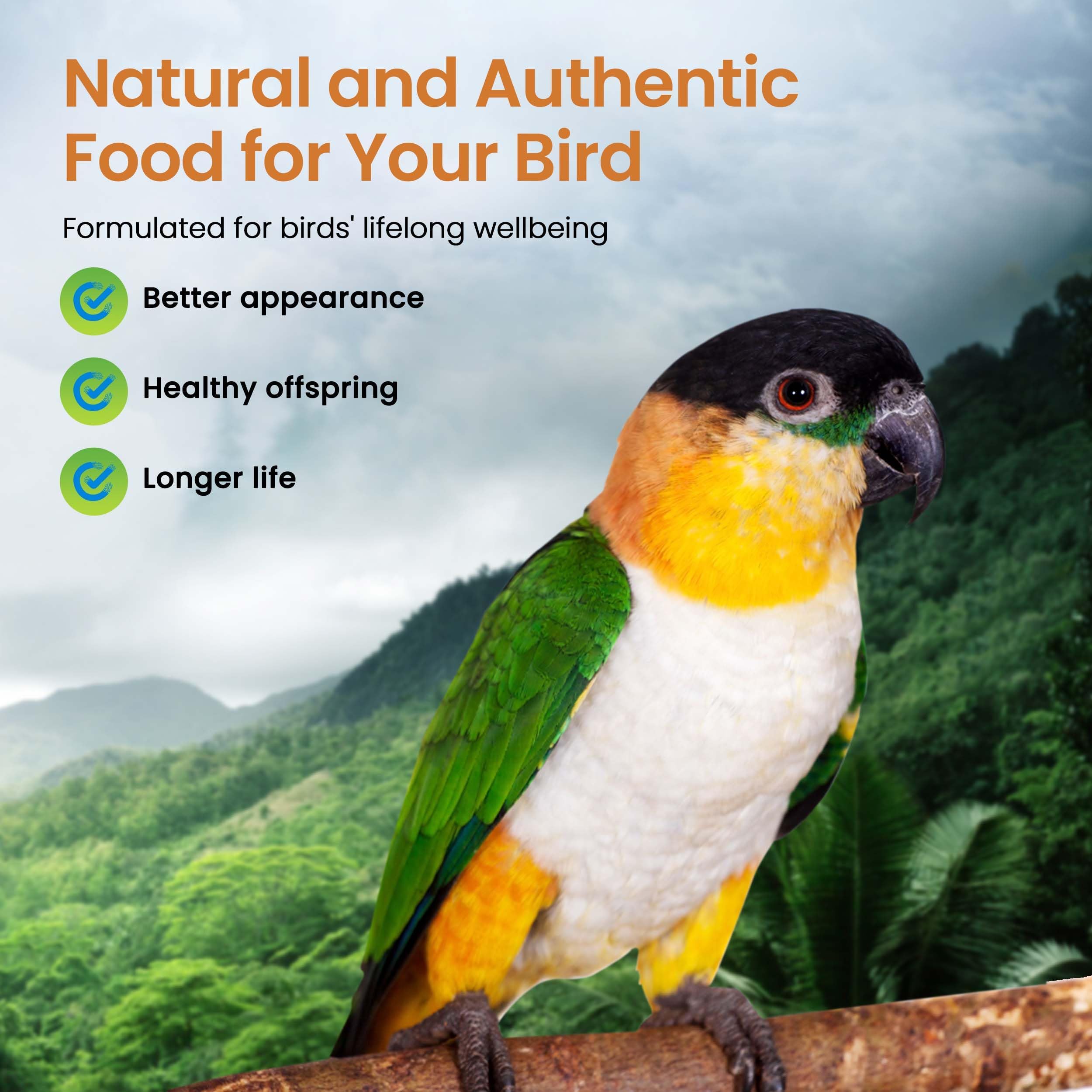 Harrisons Bird Foods High Potency Fine 1lb Certified Organic Non-GMO Formula