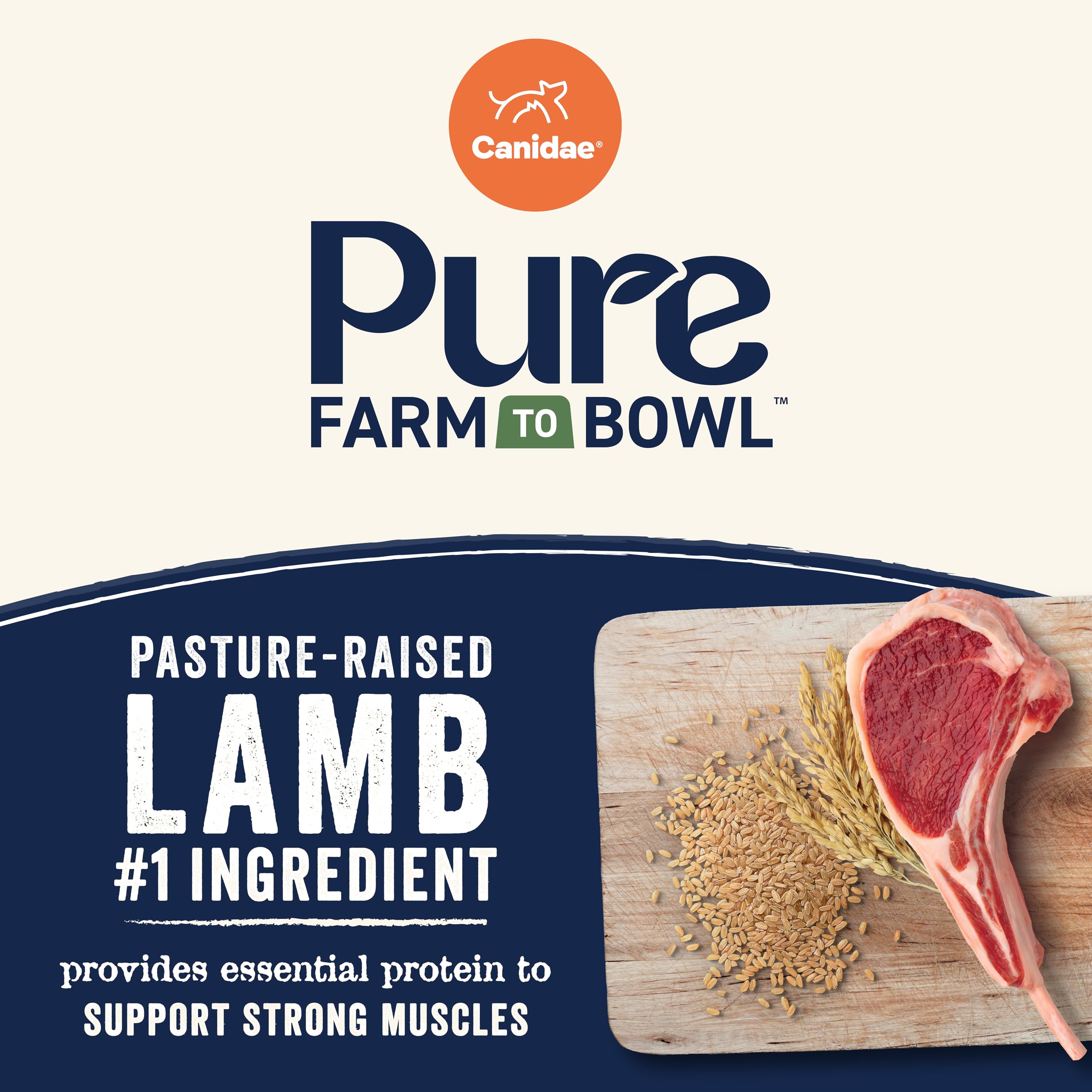 CANIDAE Pure Limited Ingredient Premium Adult Dry Dog Food, Lamb & Brown Rice Recipe, 22 lbs, with Wholesome Grains