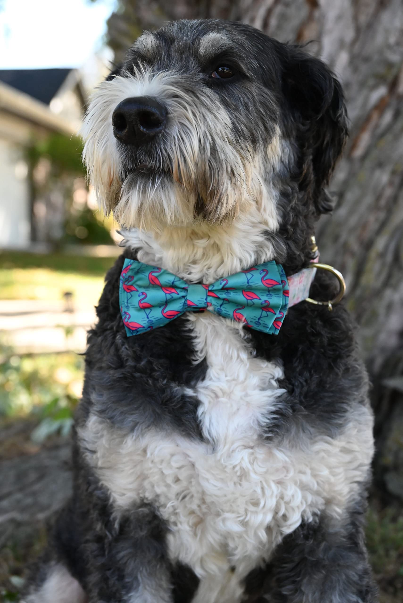 Huxley & Kent Bow Tie For Pets - Flamingo (Large) - Bow Tie Collar Attachment - Dog & Cat Fun Bow Ties - H&K
