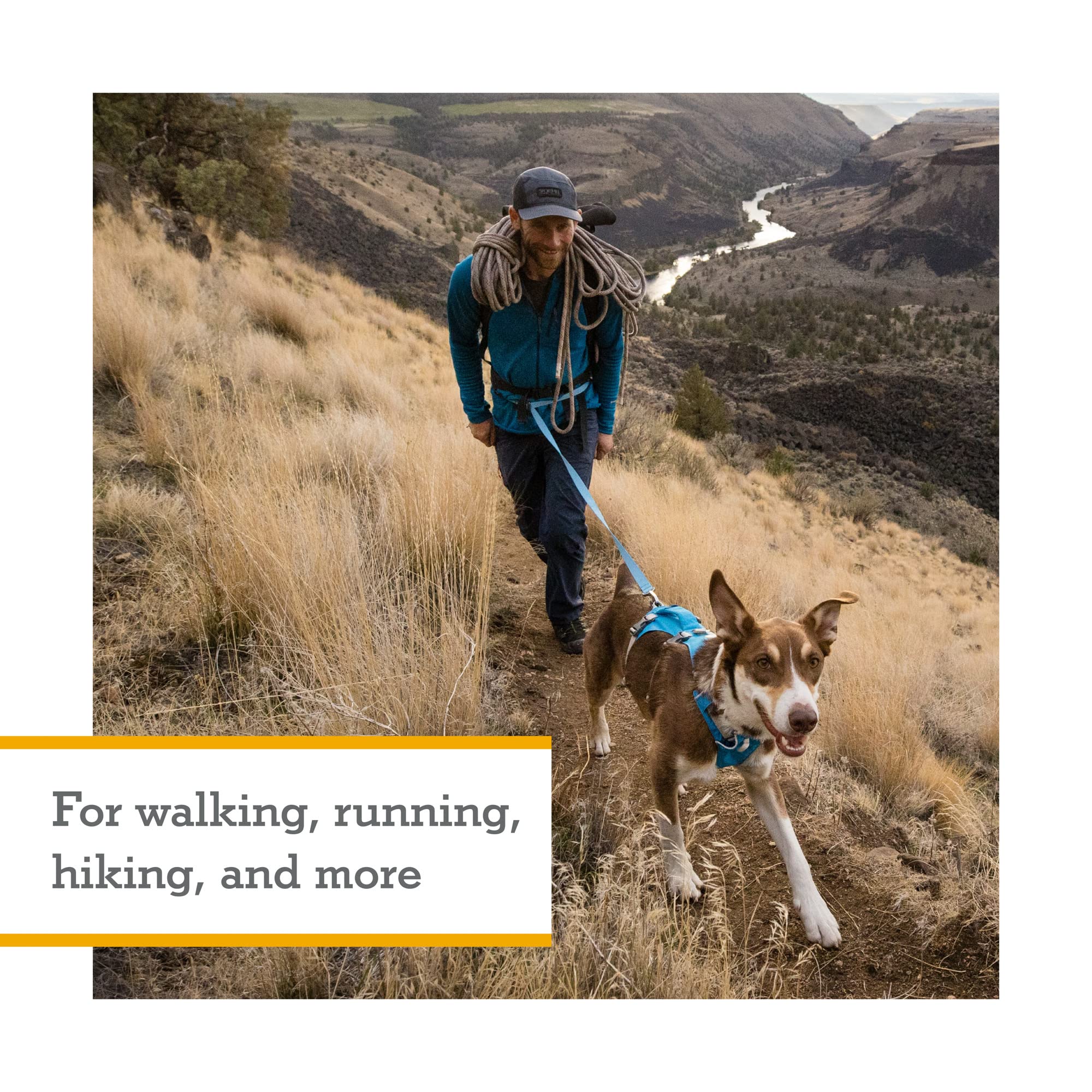 Ruffwear, Flagline Dog Harness, Lightweight Lift-And-Assist Harness With Padded Handle, Sage Green, Small