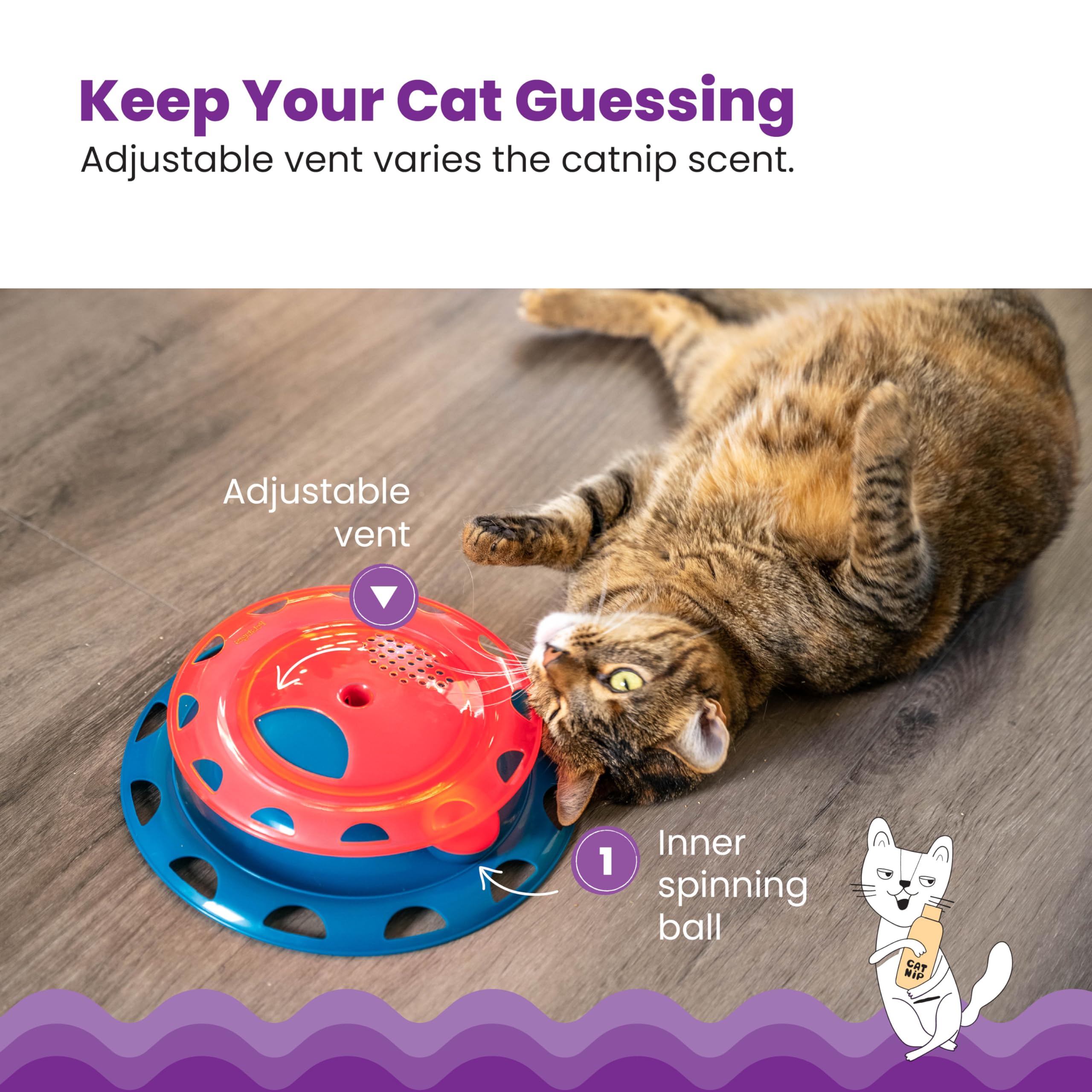 Catstages Catnip Chase Track Red And Blue Interactive Cat Toy, All Breed Sizes