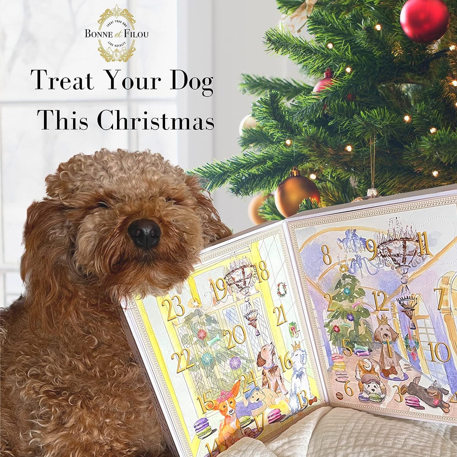 Bonne et Filou Dog Treats Advent Calendar - 24 Luxury Treats, Macarons & Cookies - Multi-colored, Pack of 1, Model: Dog-Advent-Calendar